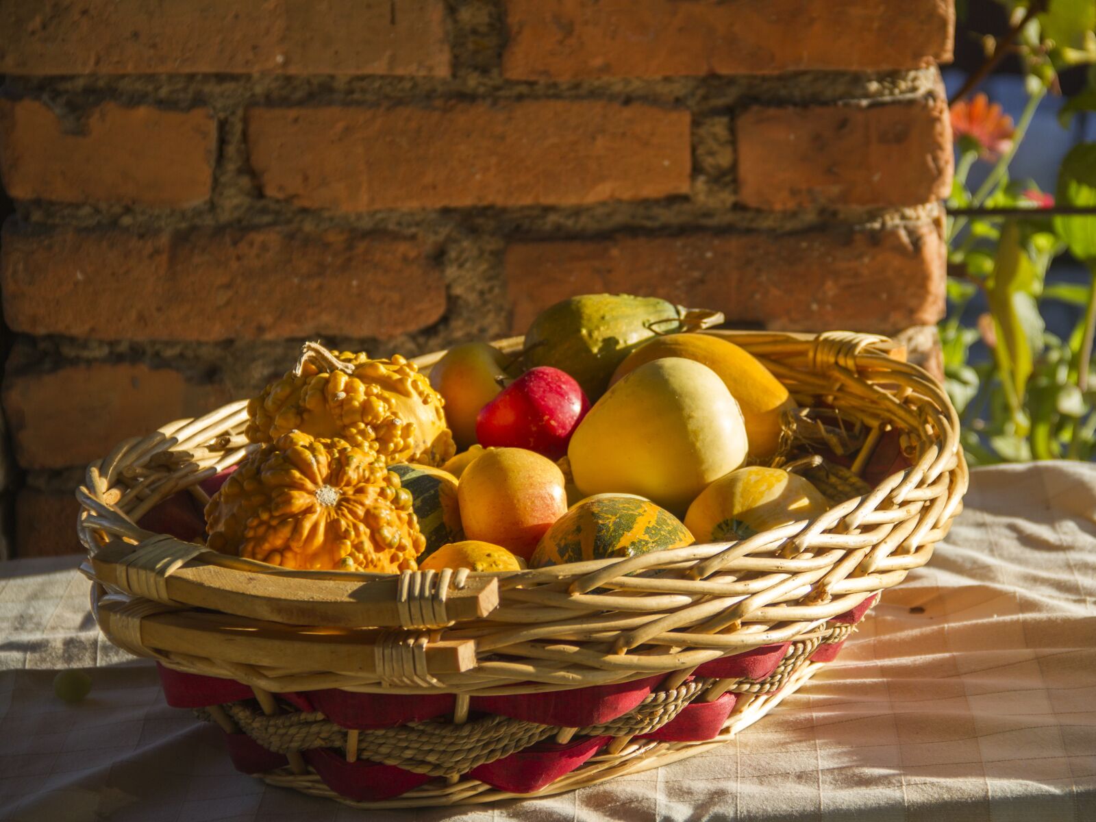Canon EOS 7D sample photo. Fall, autumn, sunny photography
