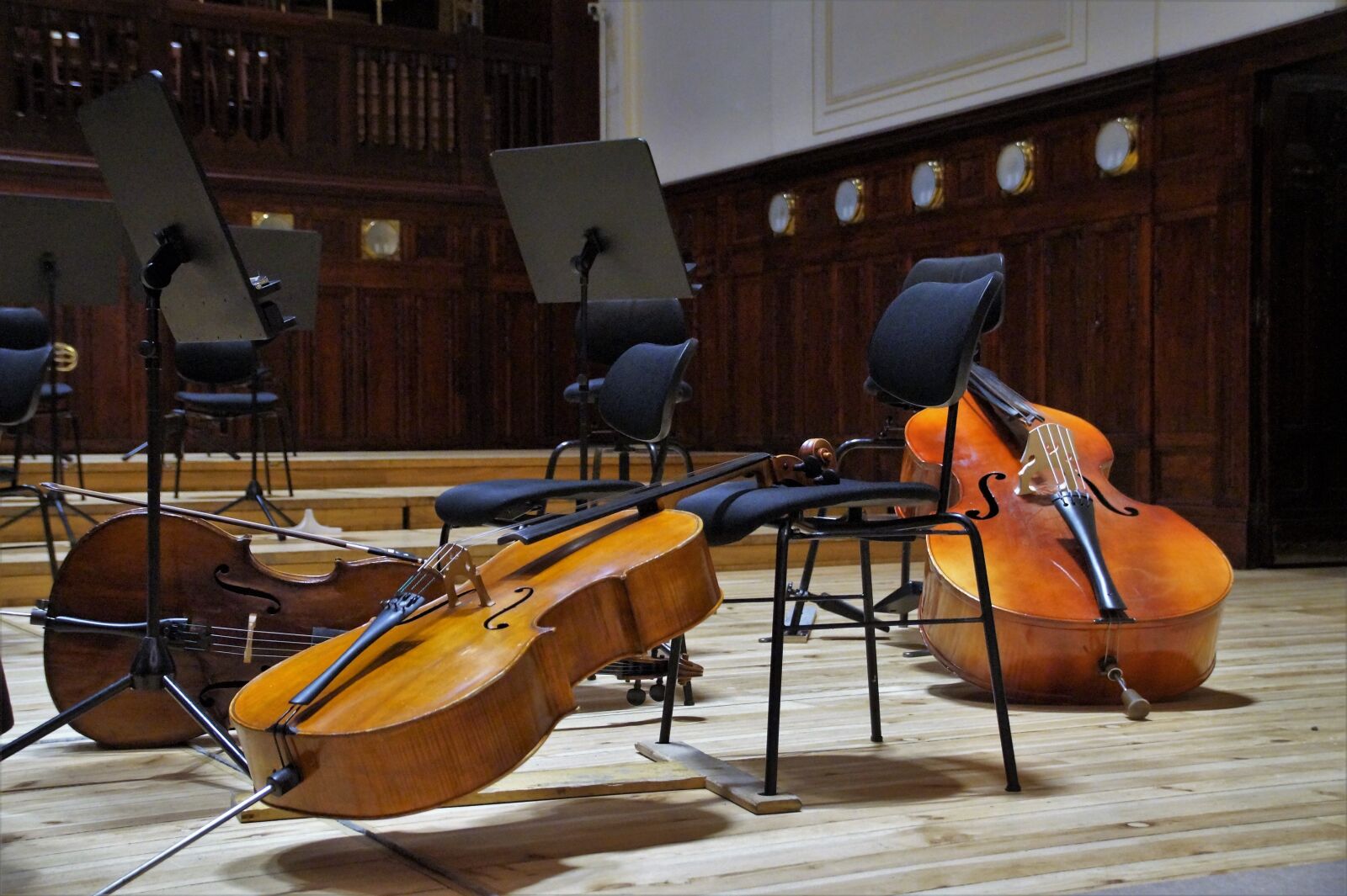 Sony SLT-A58 sample photo. Bass, double bass, musical photography