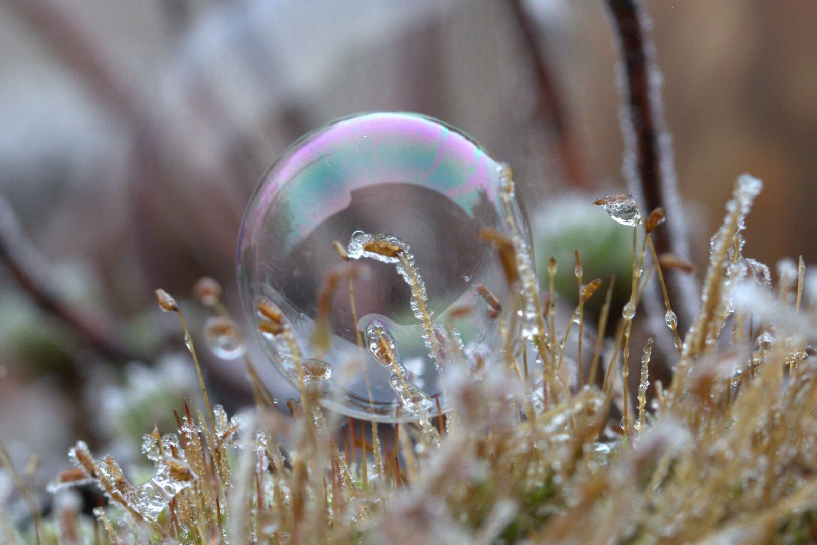 Nikon D5200 sample photo. Soap bubble, pattern, structure photography