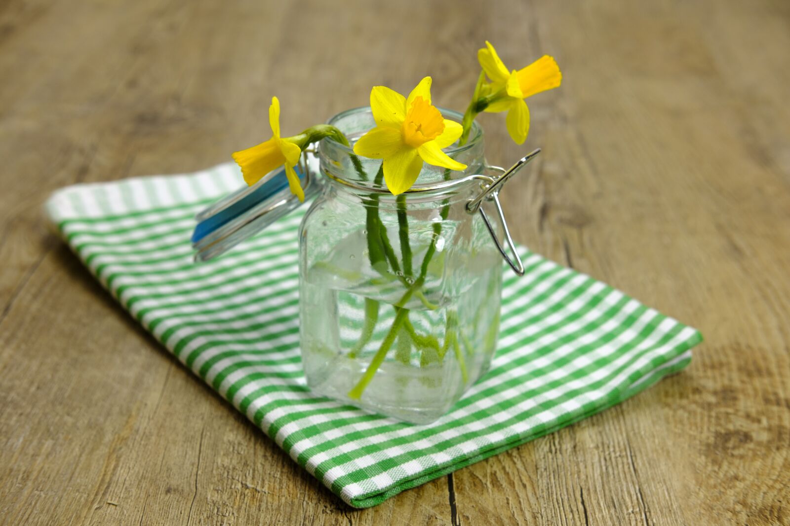 Fujifilm X-T2 + Fujifilm XF 35mm F2 R WR sample photo. Daffodils, osterglocken, amaryllidoideae photography