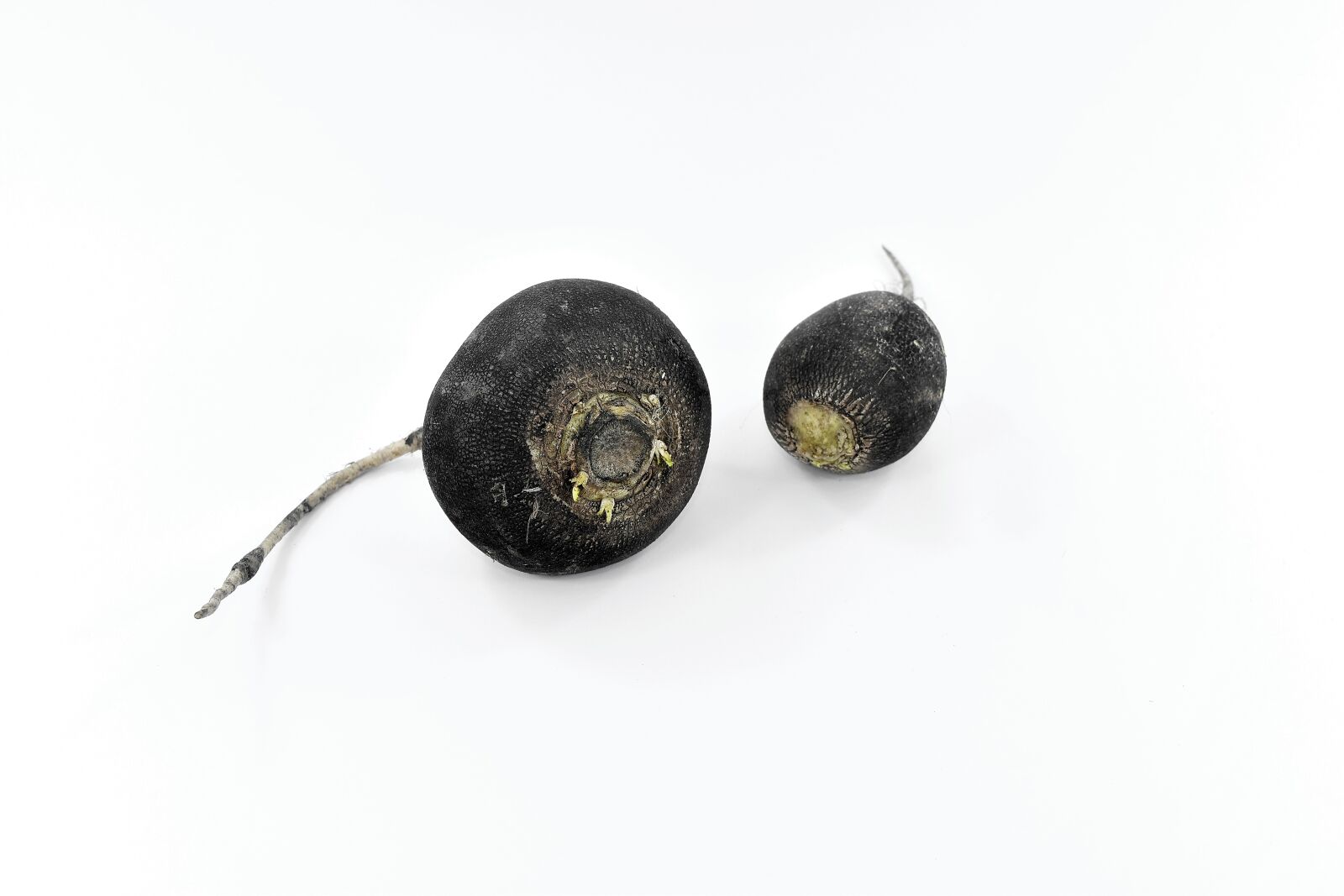Nikon D5500 sample photo. Black, dietary, eat, meal photography