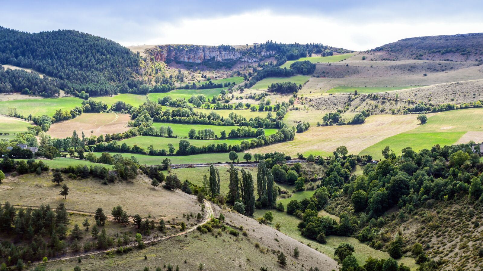 Nikon D500 sample photo. Lozère, field, landscape photography