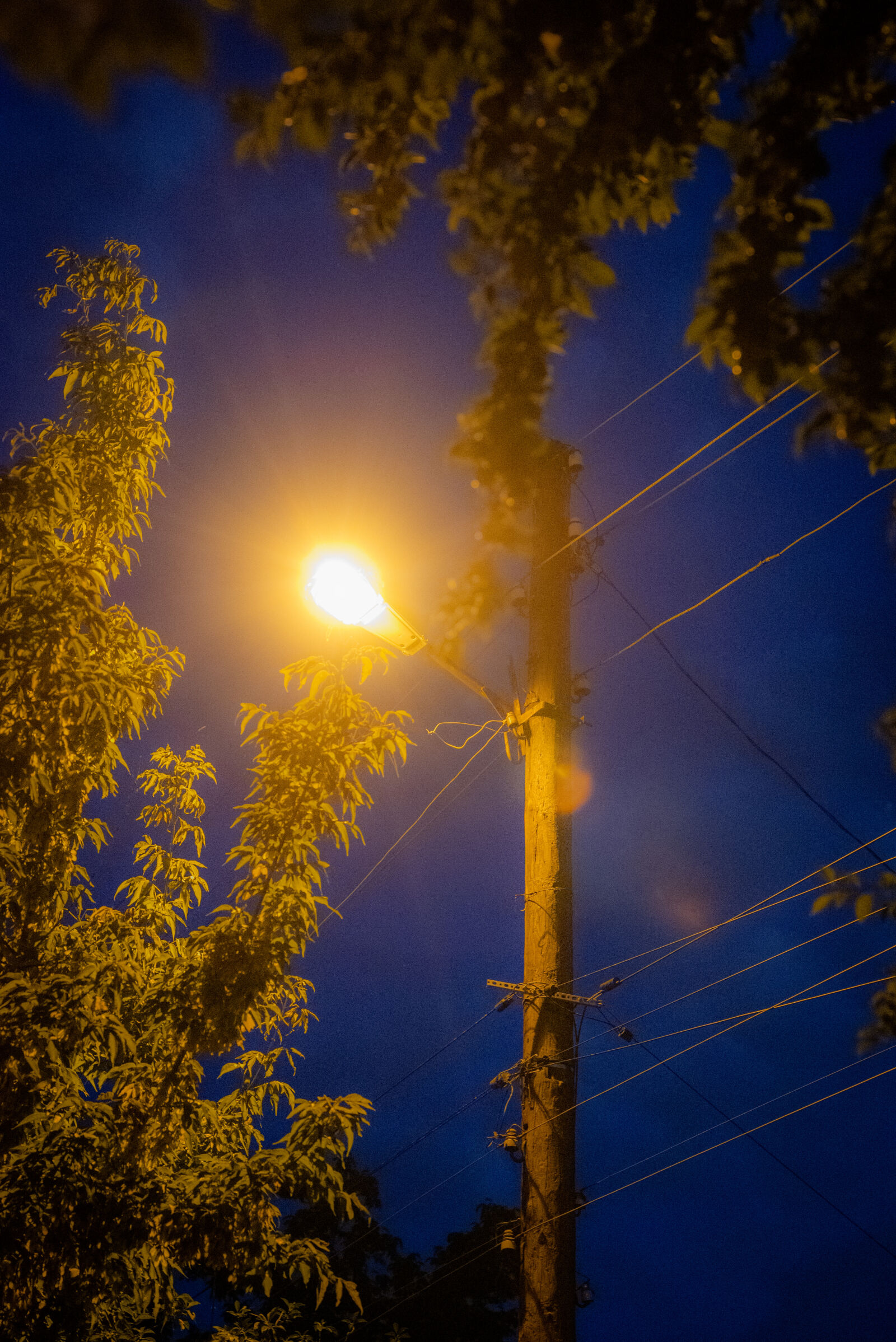 Nikon D750 sample photo