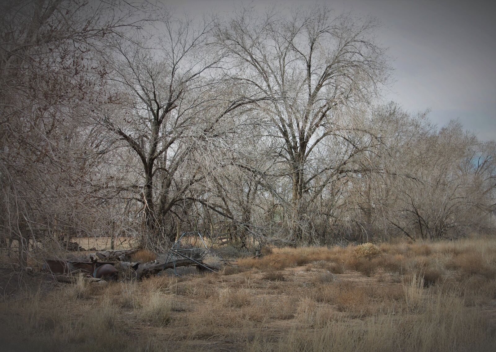 Canon EOS 1100D (EOS Rebel T3 / EOS Kiss X50) sample photo. New mexico, southwest, albuquerque photography