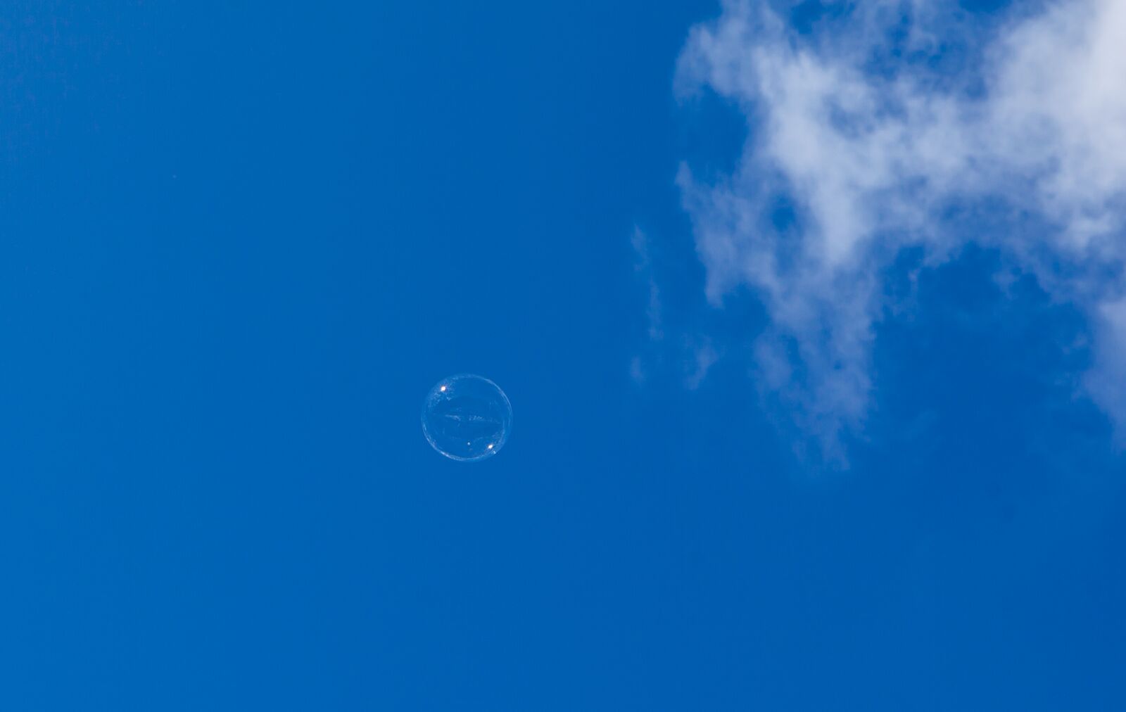 Canon EOS 5D Mark II sample photo. Soap bubble floating, bubble photography