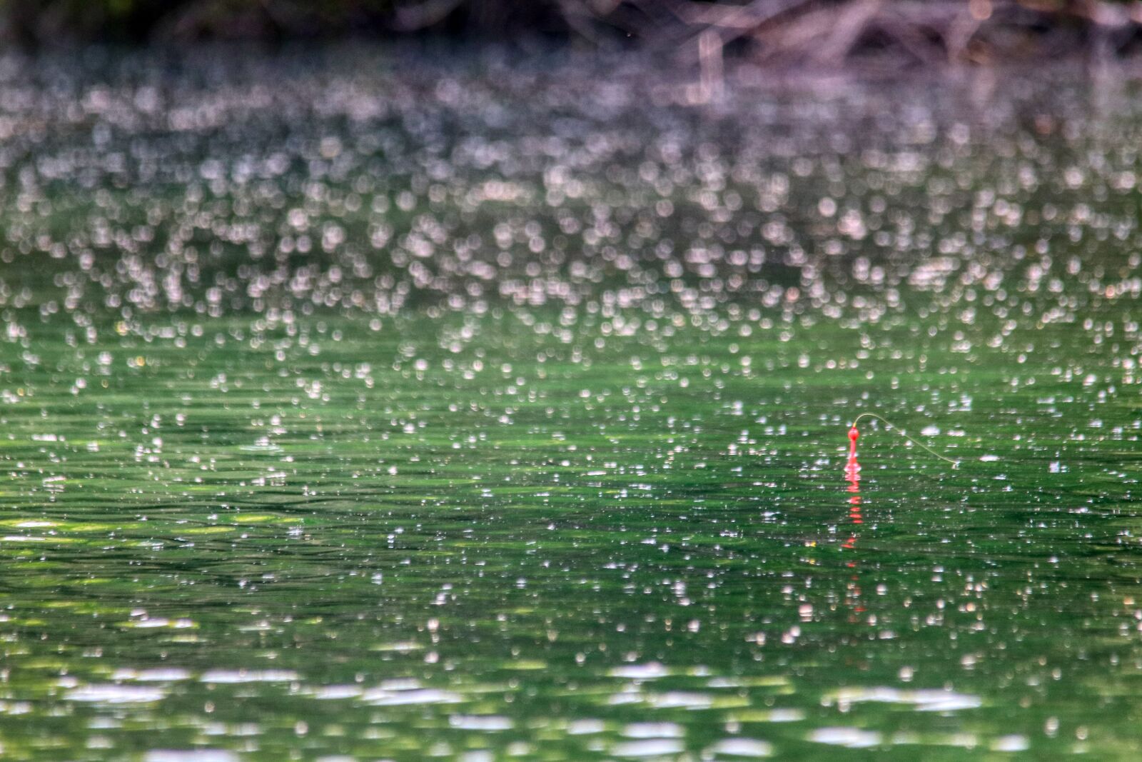 Canon EOS 80D sample photo. Fishing, fish, water photography