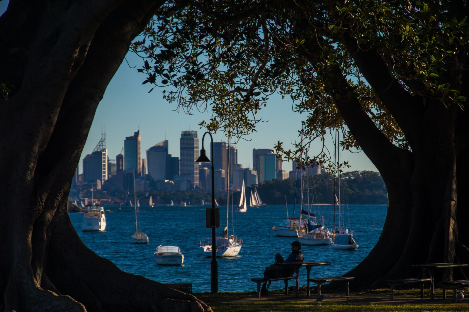 Nikon D3200 sample photo. Sydney, australia, city photography