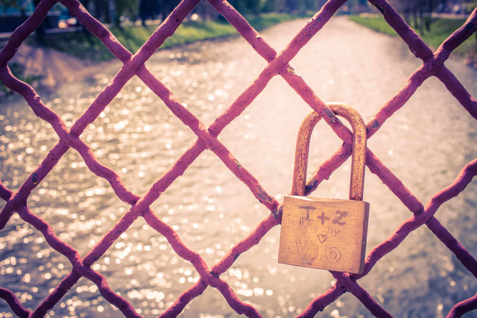 Canon EF-S 24mm F2.8 STM sample photo. Locked photography