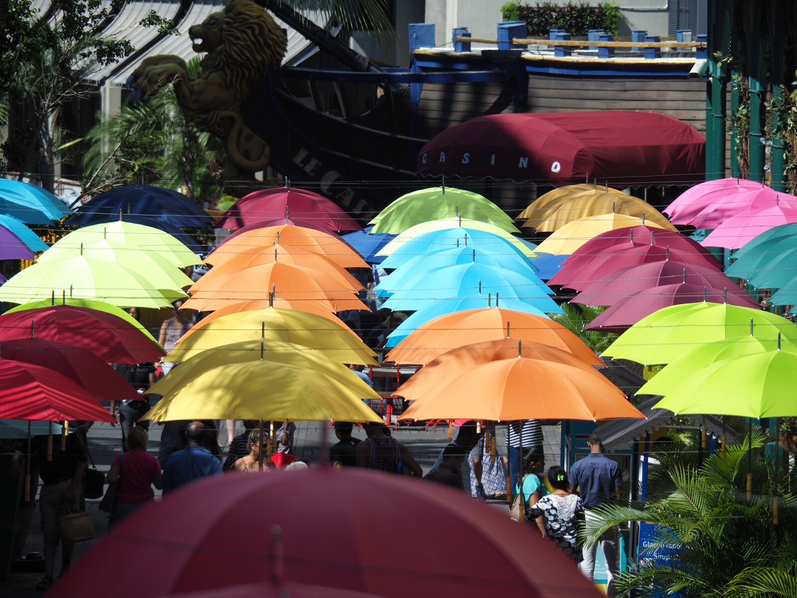 Olympus OM-D E-M10 II sample photo. Color, rainbow, colorful photography