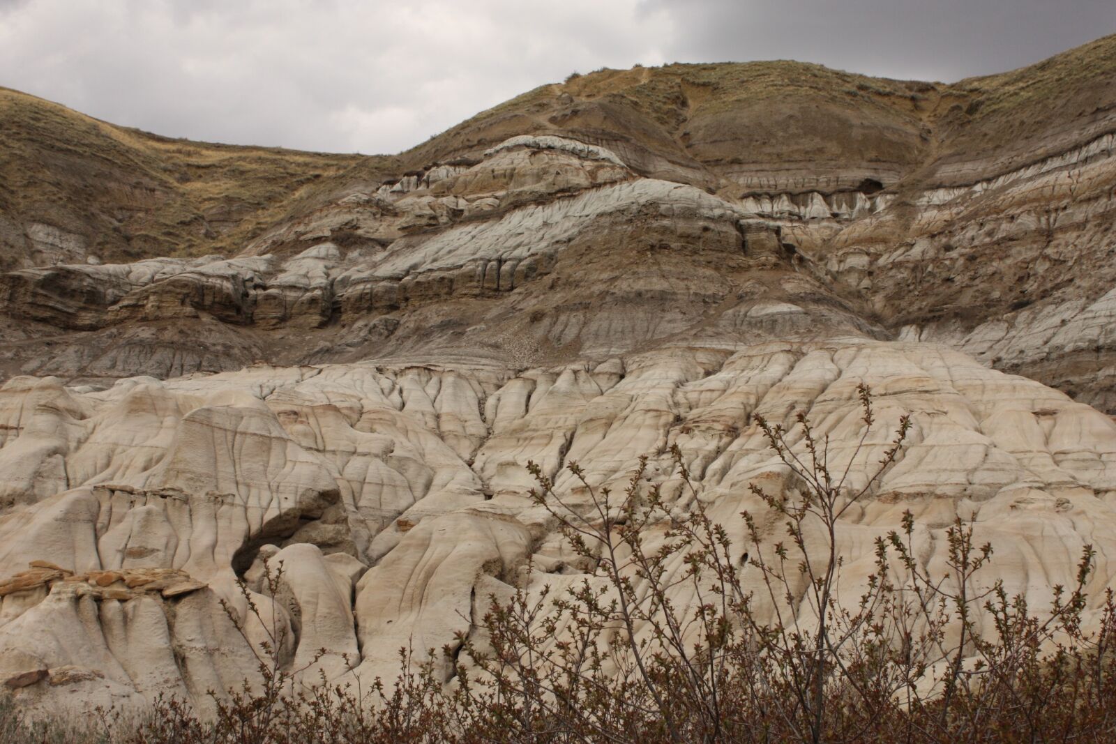 Canon EOS 450D (EOS Rebel XSi / EOS Kiss X2) sample photo. Canada, drumheller, alberta photography