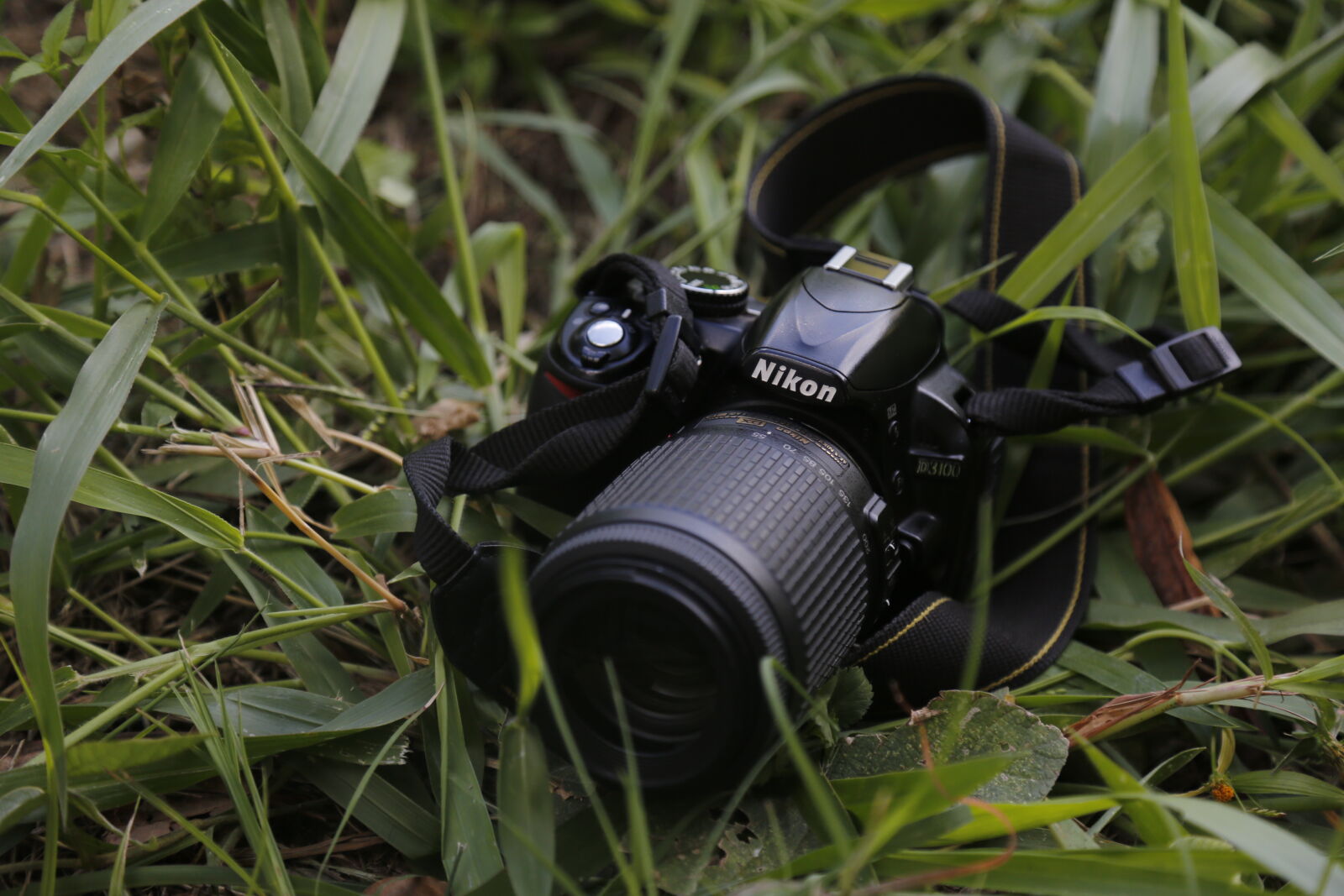 Canon EOS 5D Mark III sample photo