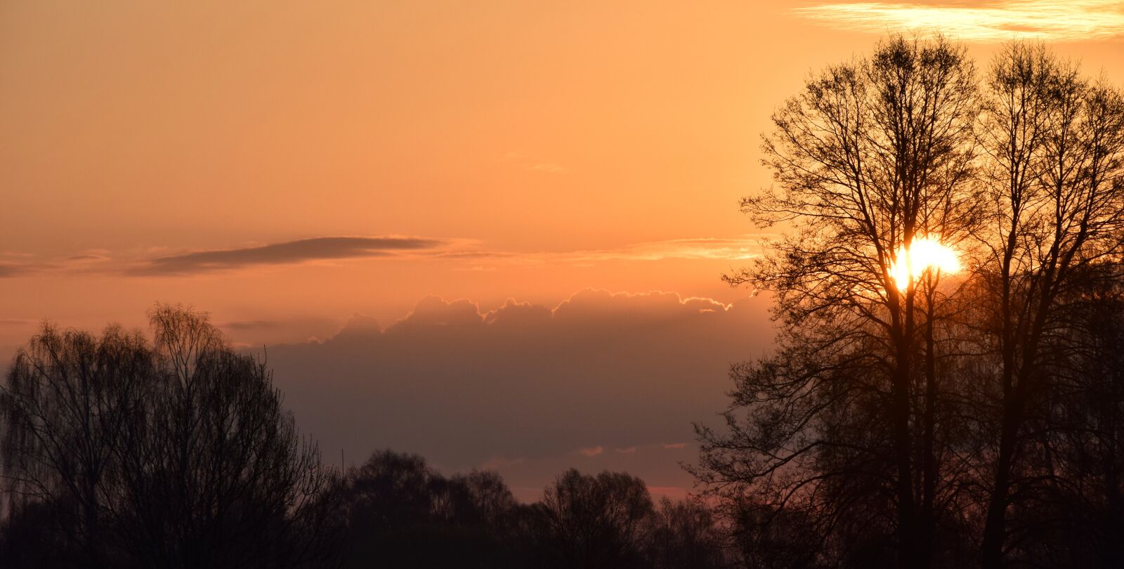 Nikon D3300 sample photo. Sunrise, light, sun photography