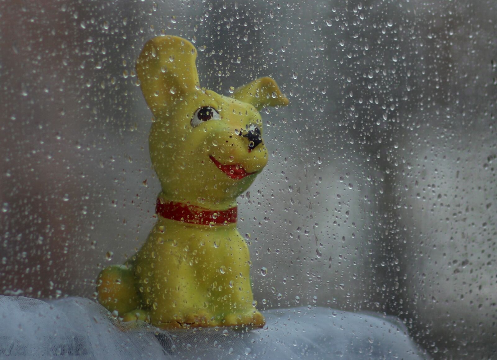Canon EOS 700D (EOS Rebel T5i / EOS Kiss X7i) + Canon EF 85mm F1.8 USM sample photo. Dog, toy, rain photography