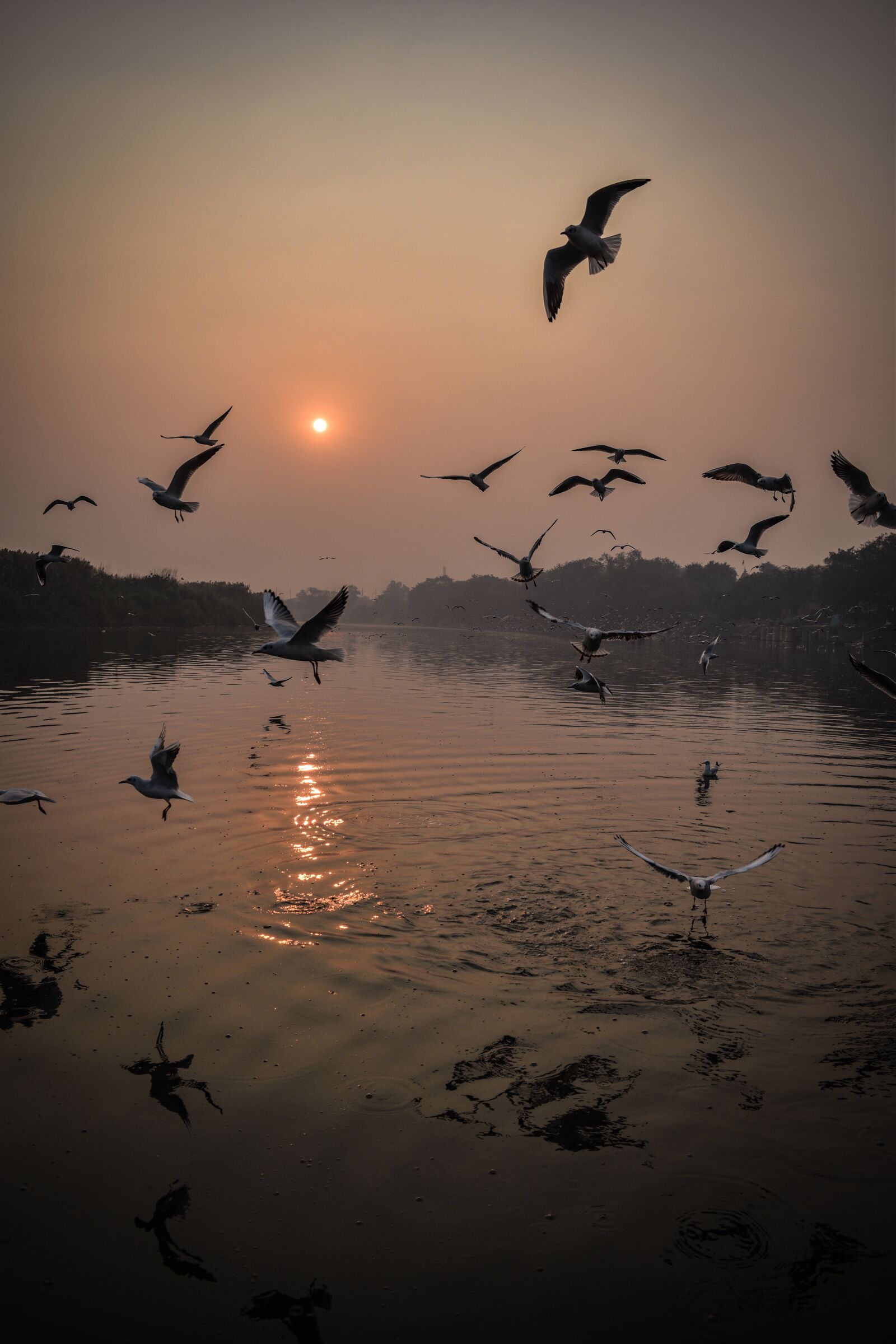 Nikon D5600 sample photo. Sunset, lake, water photography