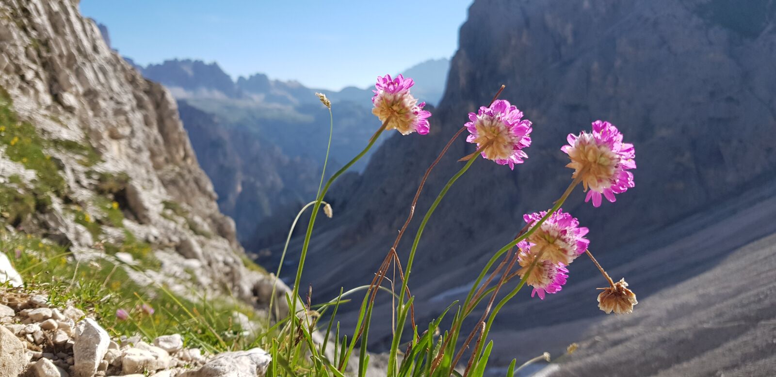 Samsung Galaxy S8 sample photo. Mountains, flowers, landscape photography