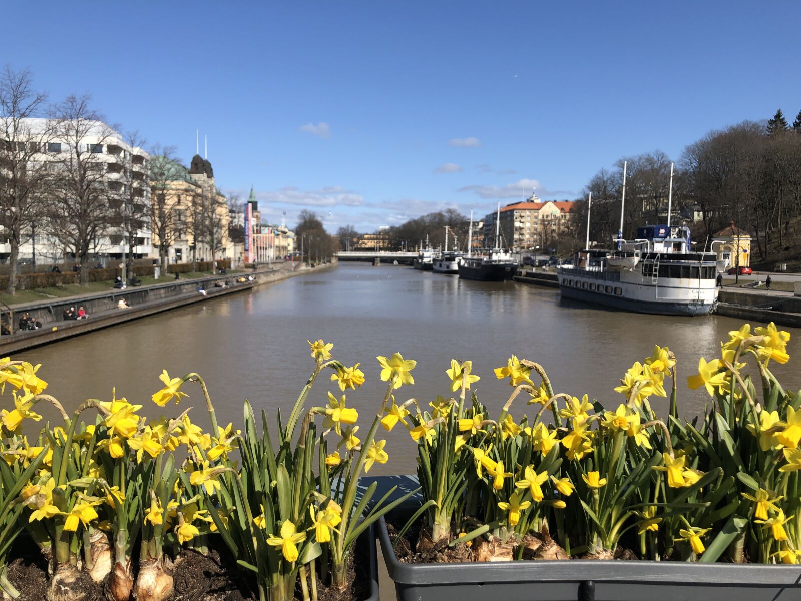 iPhone X back dual camera 4mm f/1.8 sample photo. Turku, finland, aura photography