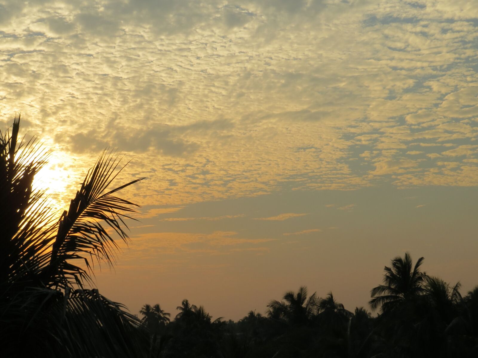 Canon PowerShot SX50 HS sample photo. Cotton sky, sky, different photography