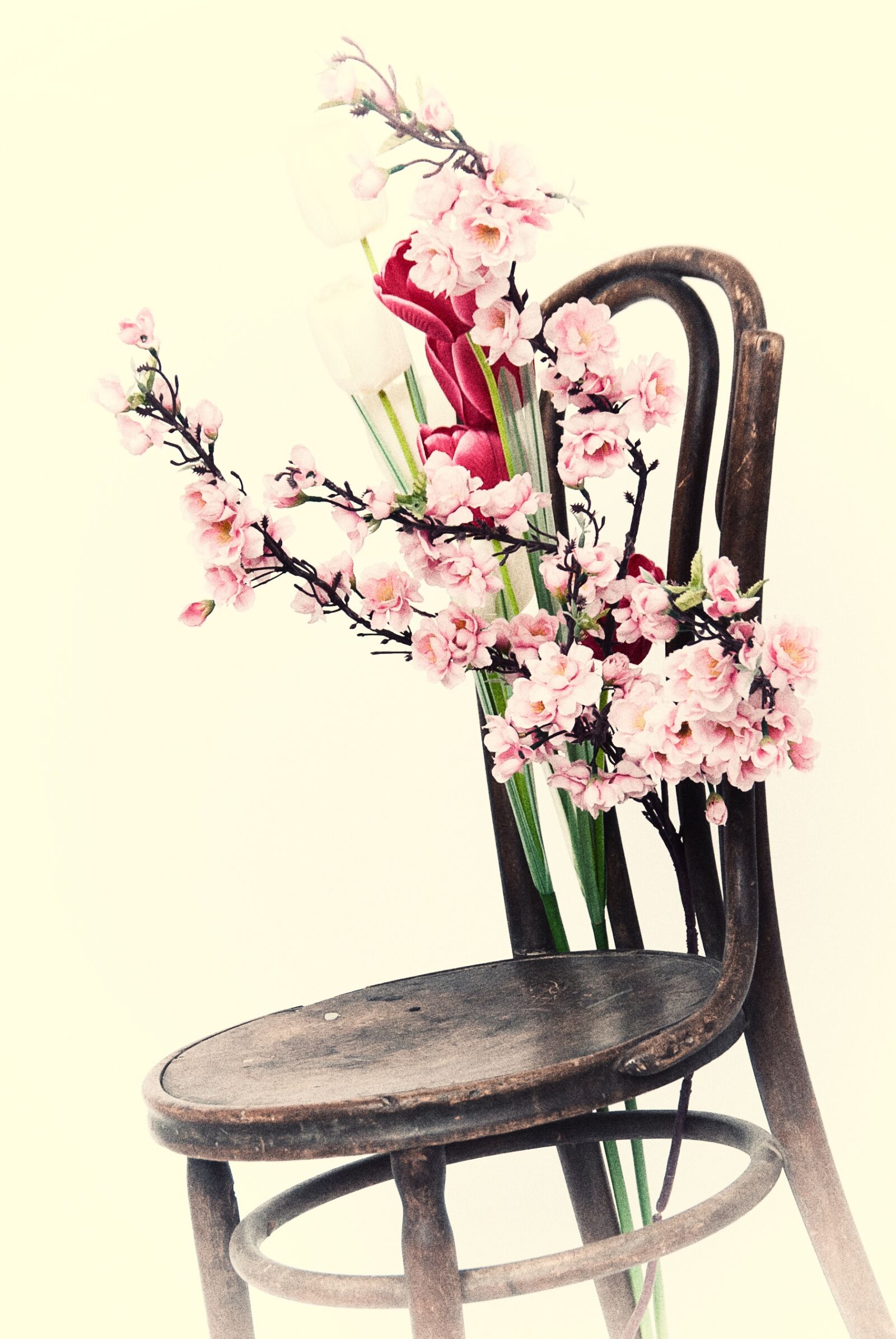 Nikon D80 sample photo. Chair, flowers, chair and photography