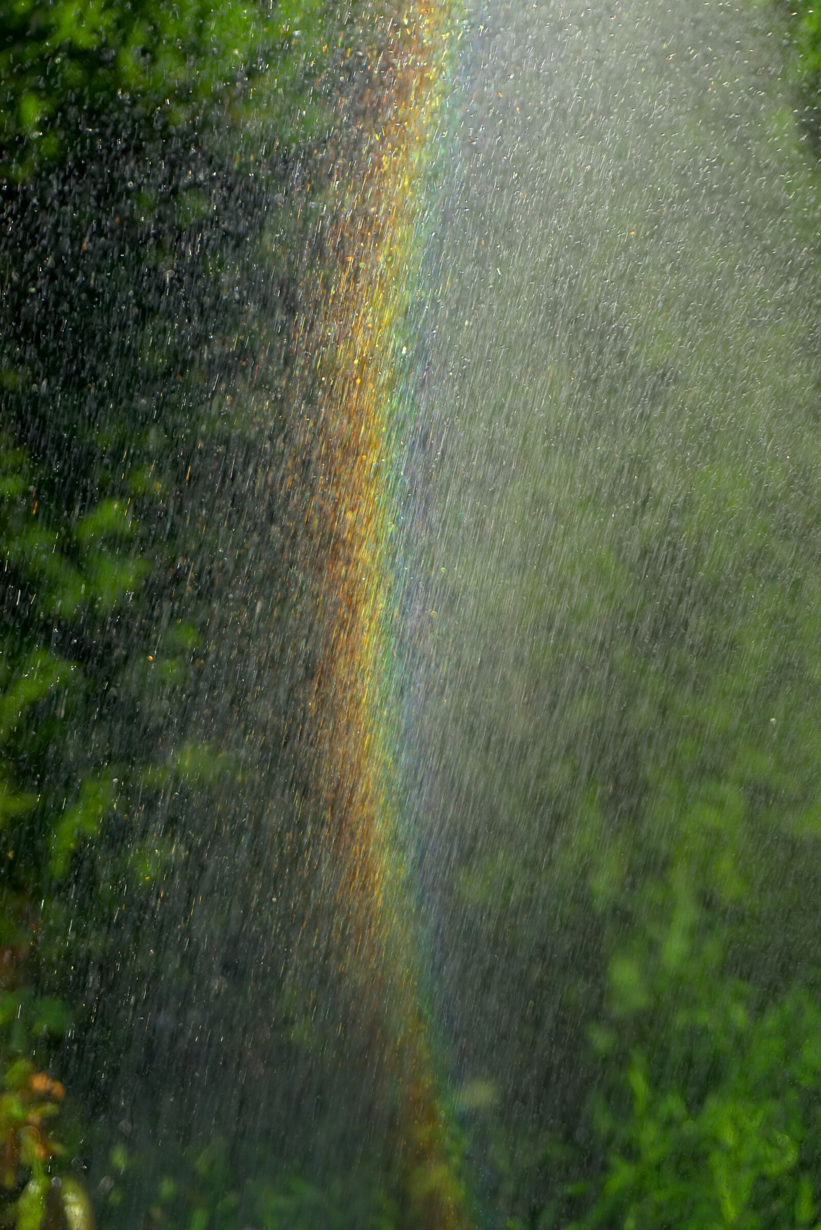 Sony a6000 sample photo. Rainbow, water, spray photography