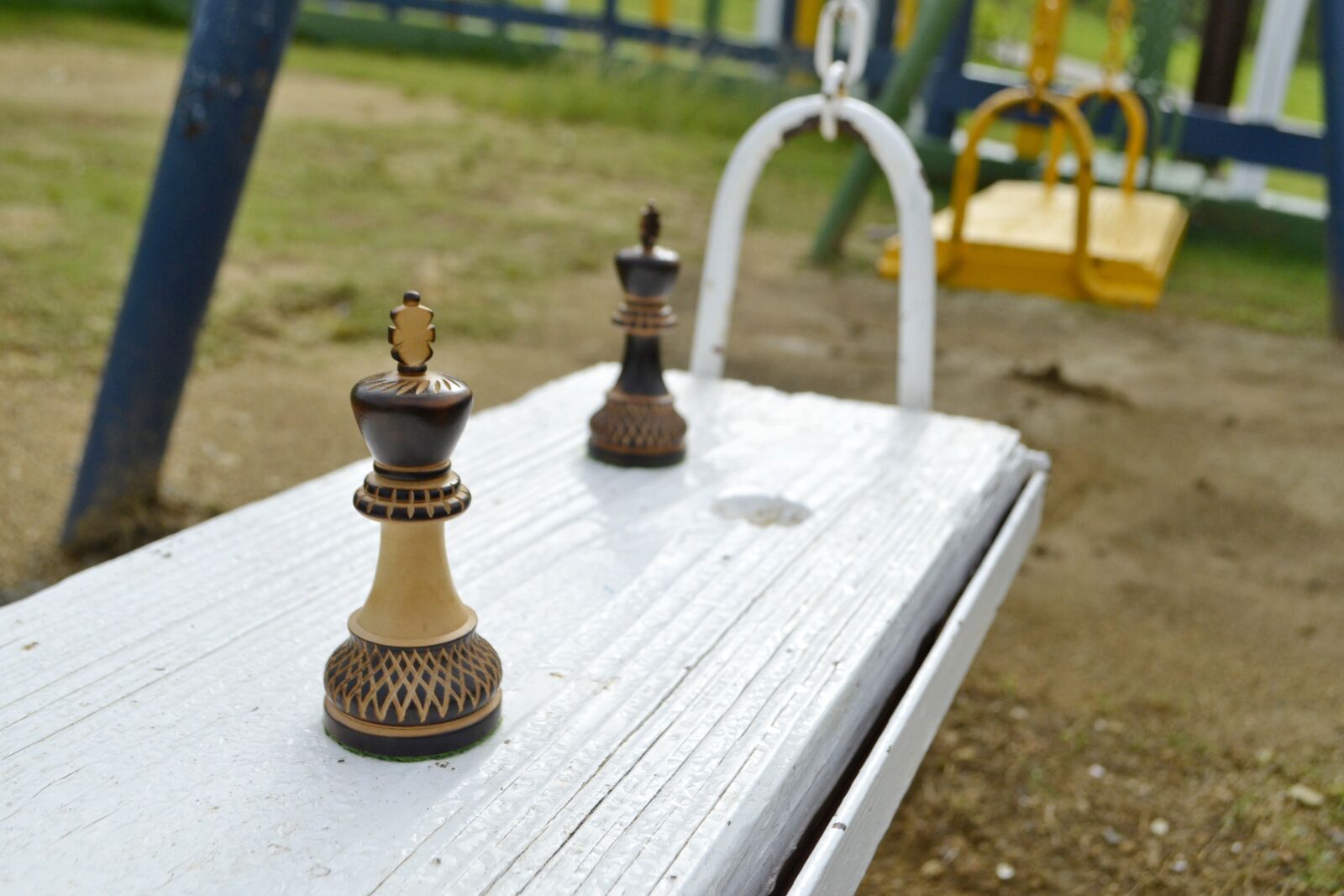 Nikon D3100 sample photo. King, chess, strategy photography
