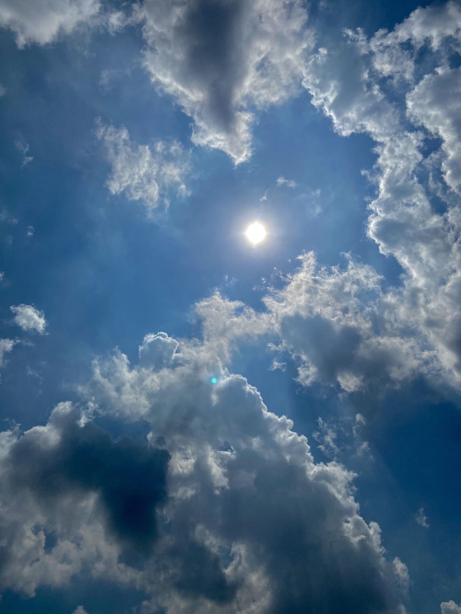 Apple iPhone 11 sample photo. Cloud, sun, noon photography