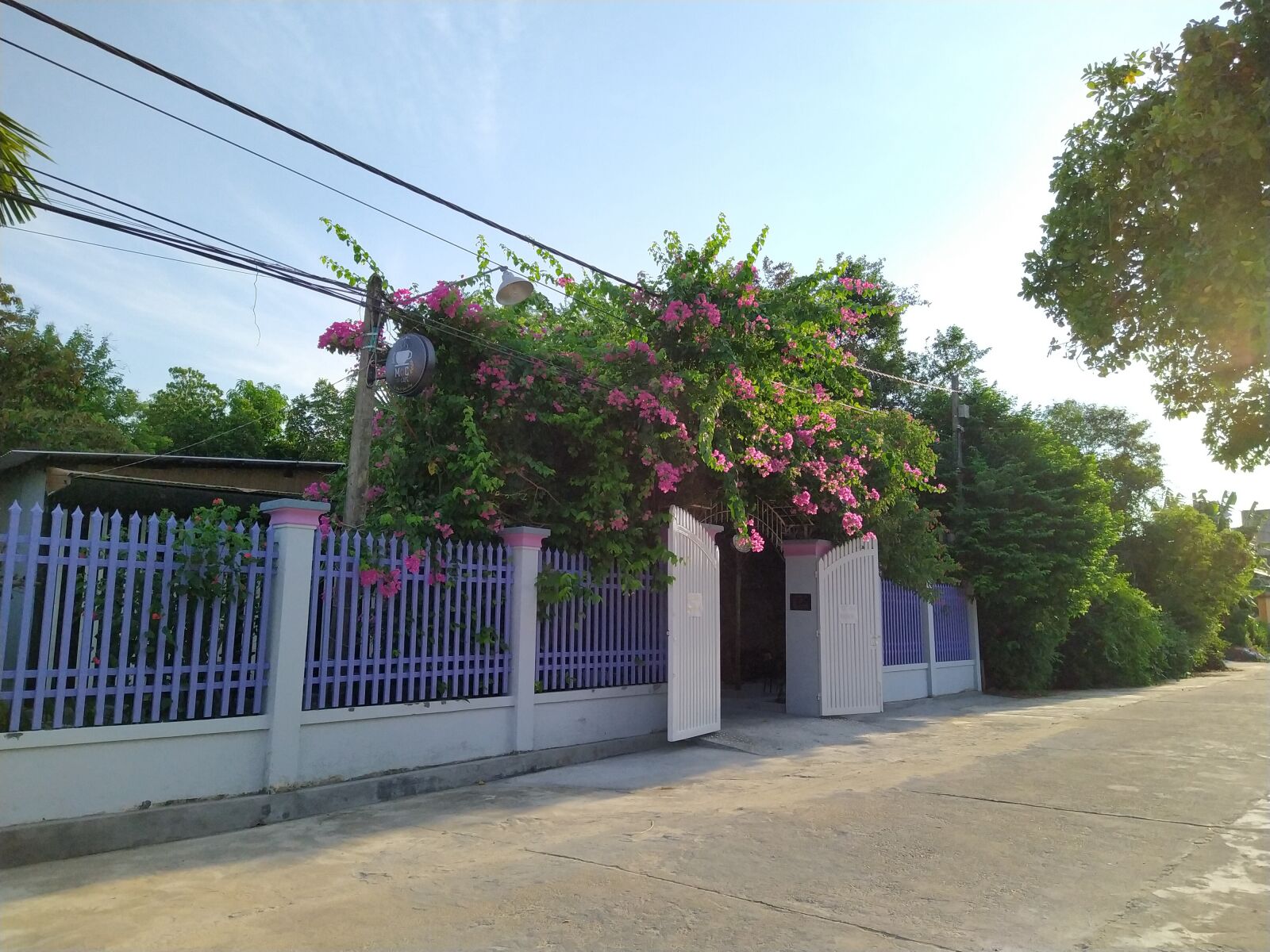 HMD Global Nokia 7.2 sample photo. Paper flower, village road photography