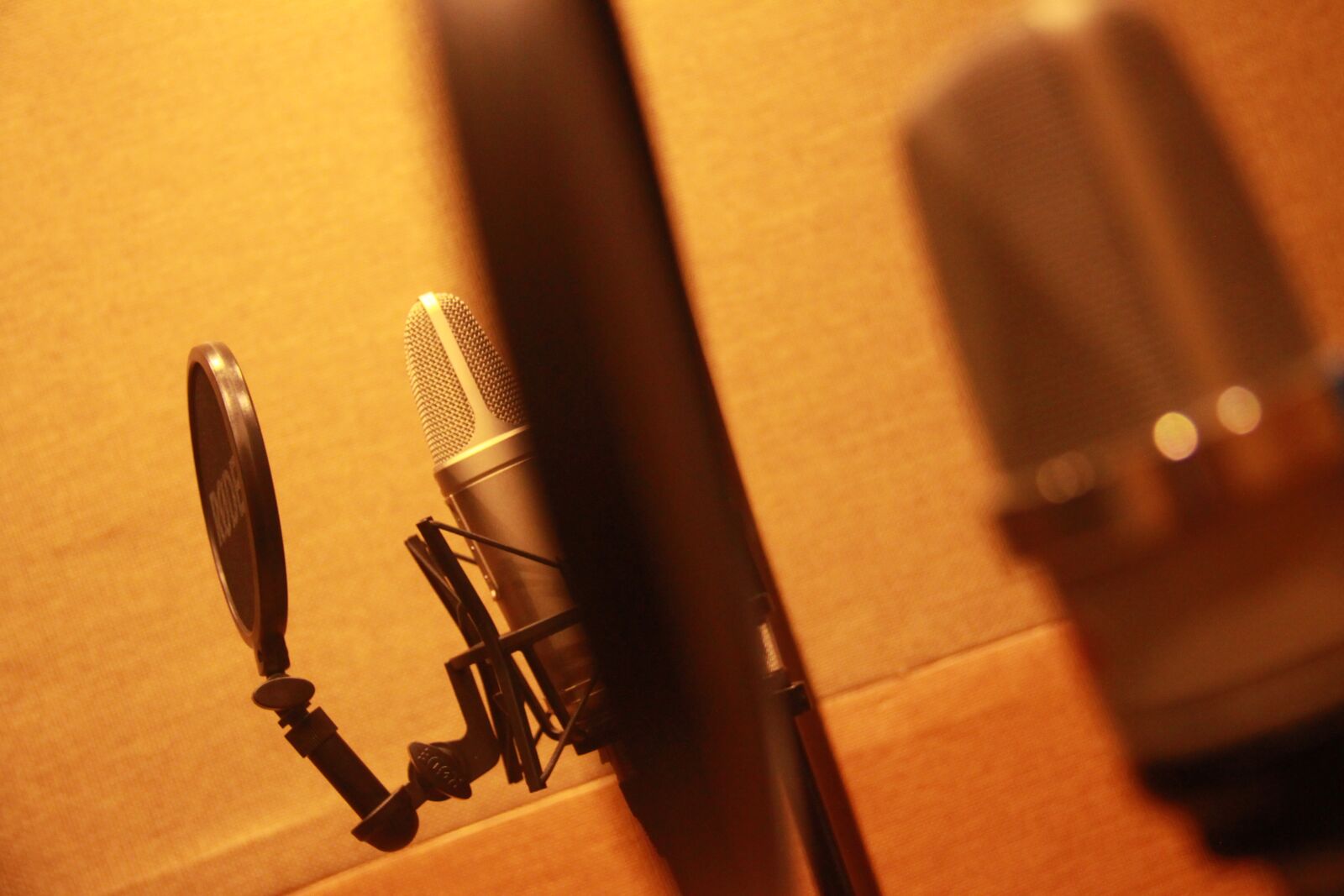 Canon EOS 500D (EOS Rebel T1i / EOS Kiss X3) sample photo. Recording, sound proofed, record photography