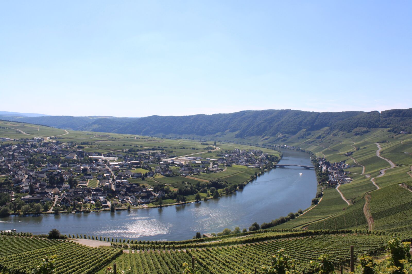 Canon EOS 500D (EOS Rebel T1i / EOS Kiss X3) sample photo. Mosel, landscape, winegrowing photography