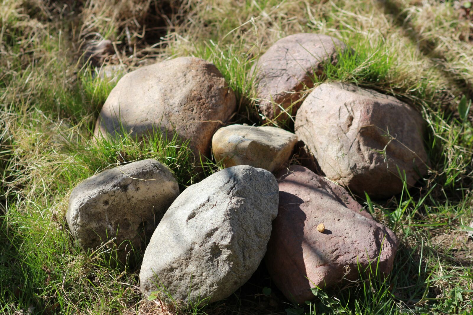 Камни в траве