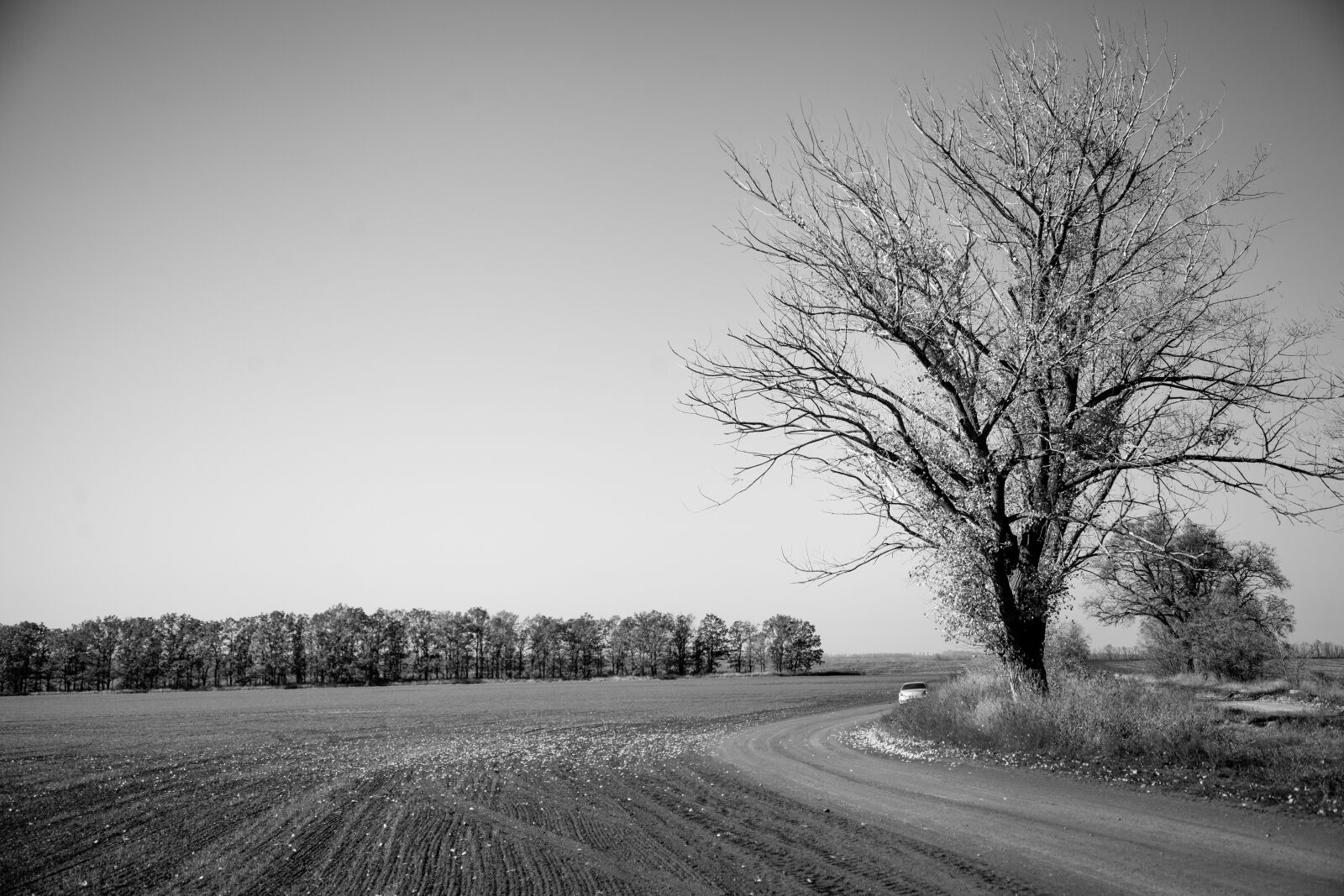 Canon EOS 5D Mark II sample photo. Nature, field, autumn photography