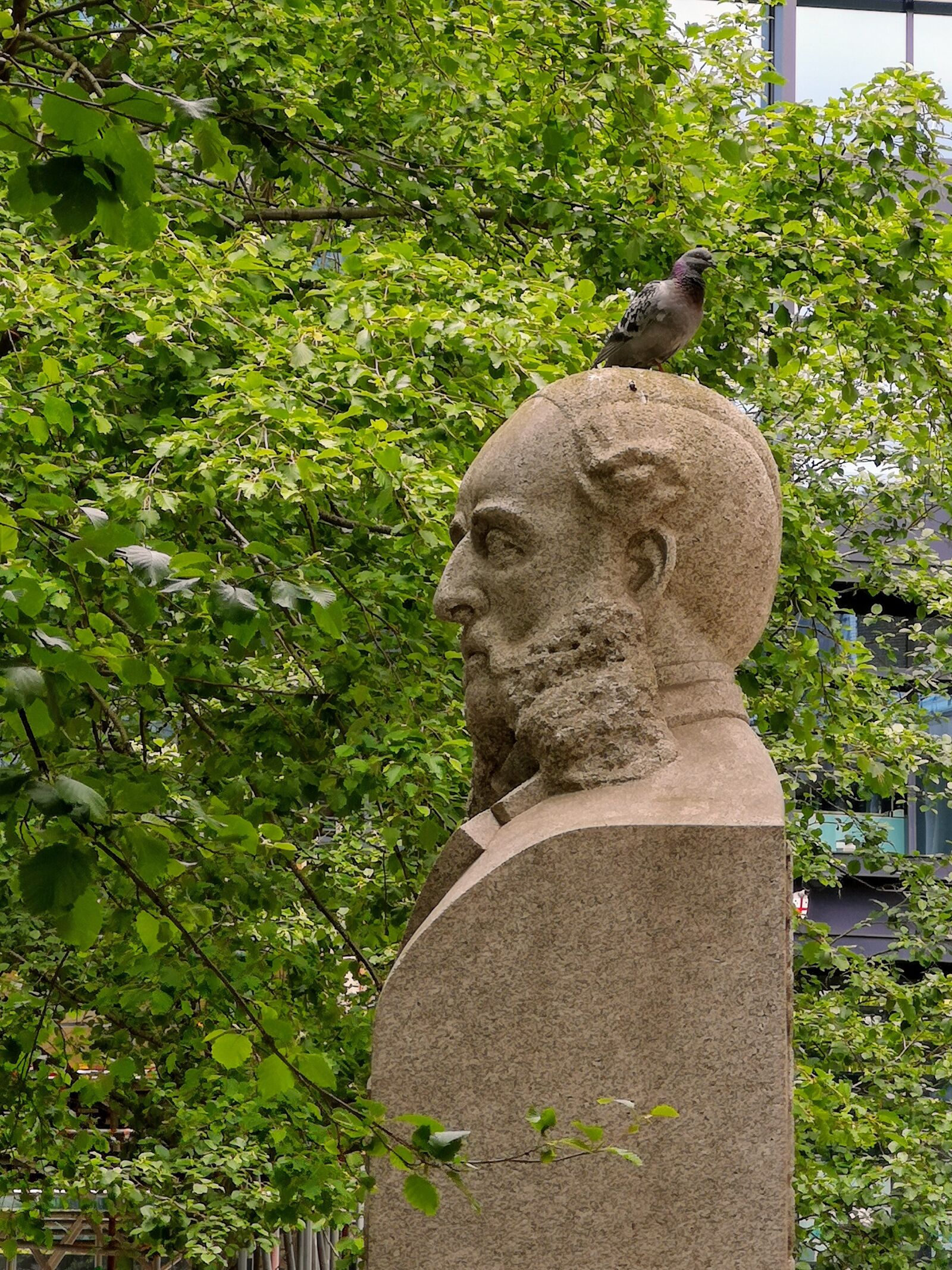 HUAWEI CLT-L09 sample photo. Statue, pigeon, reuter photography