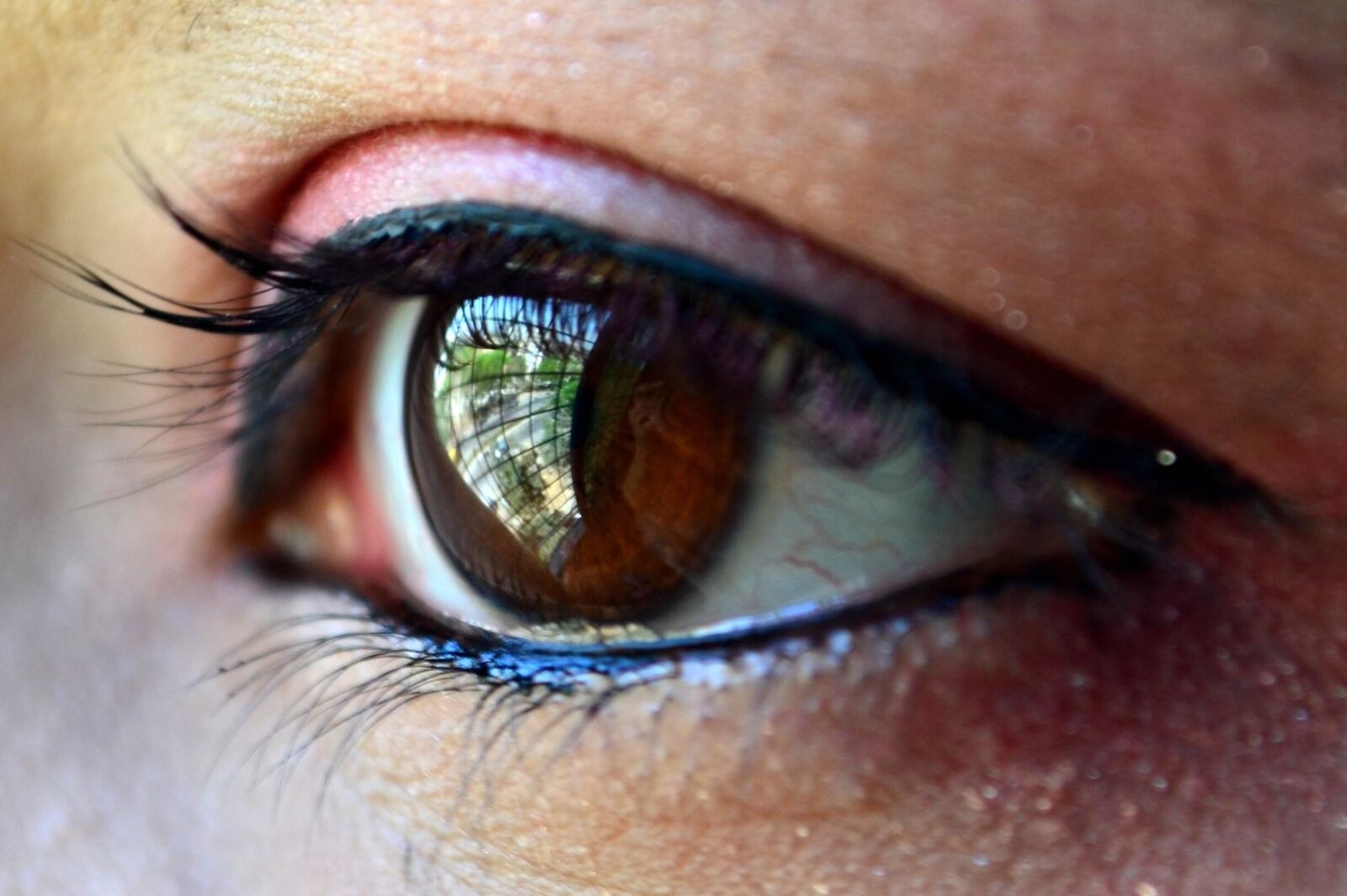 Nikon D5100 sample photo. Eye, eyelash, macro photography