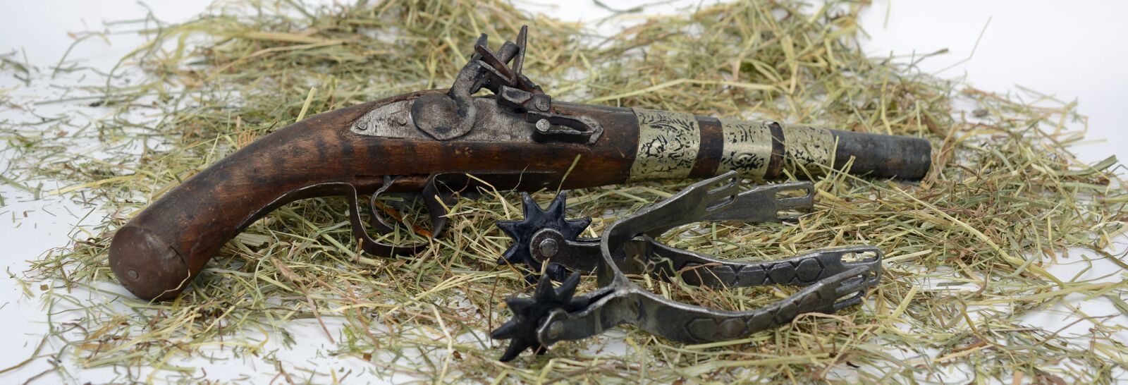 Nikon D7100 sample photo. Pistol, spores, hay photography