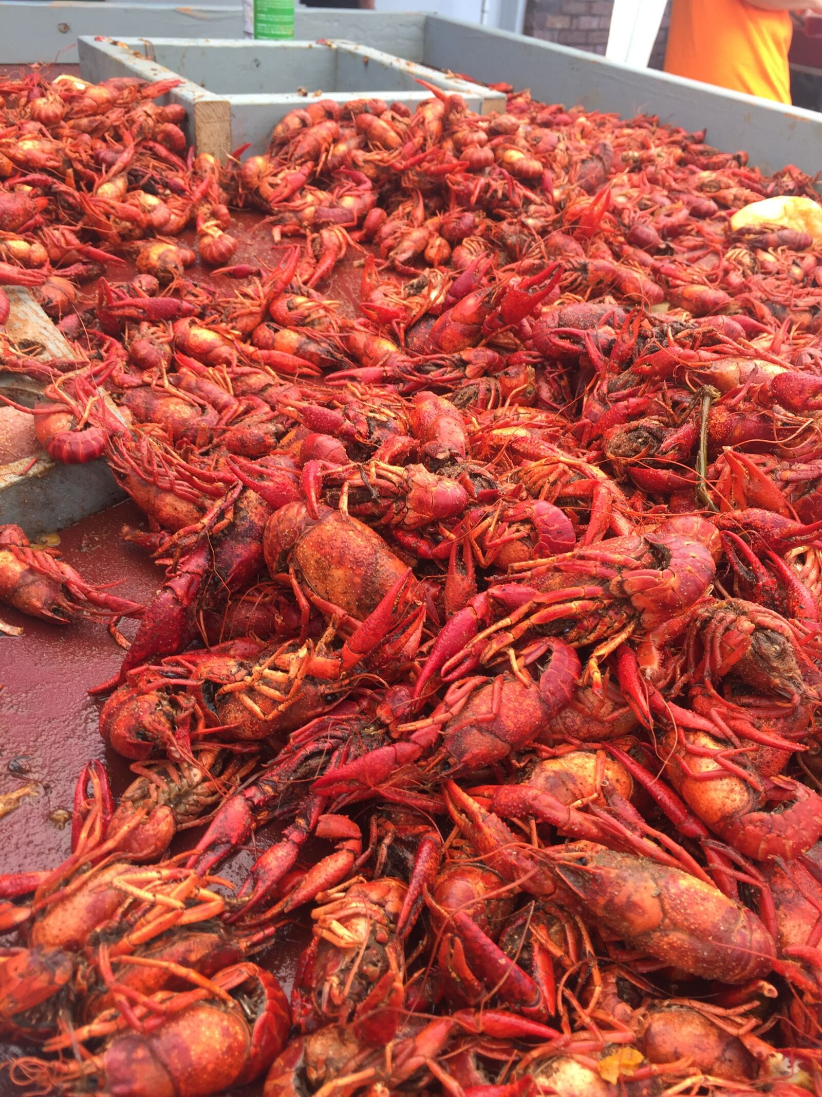 Apple iPhone 6 sample photo. Crawfish, crawfish boil, crustacean photography
