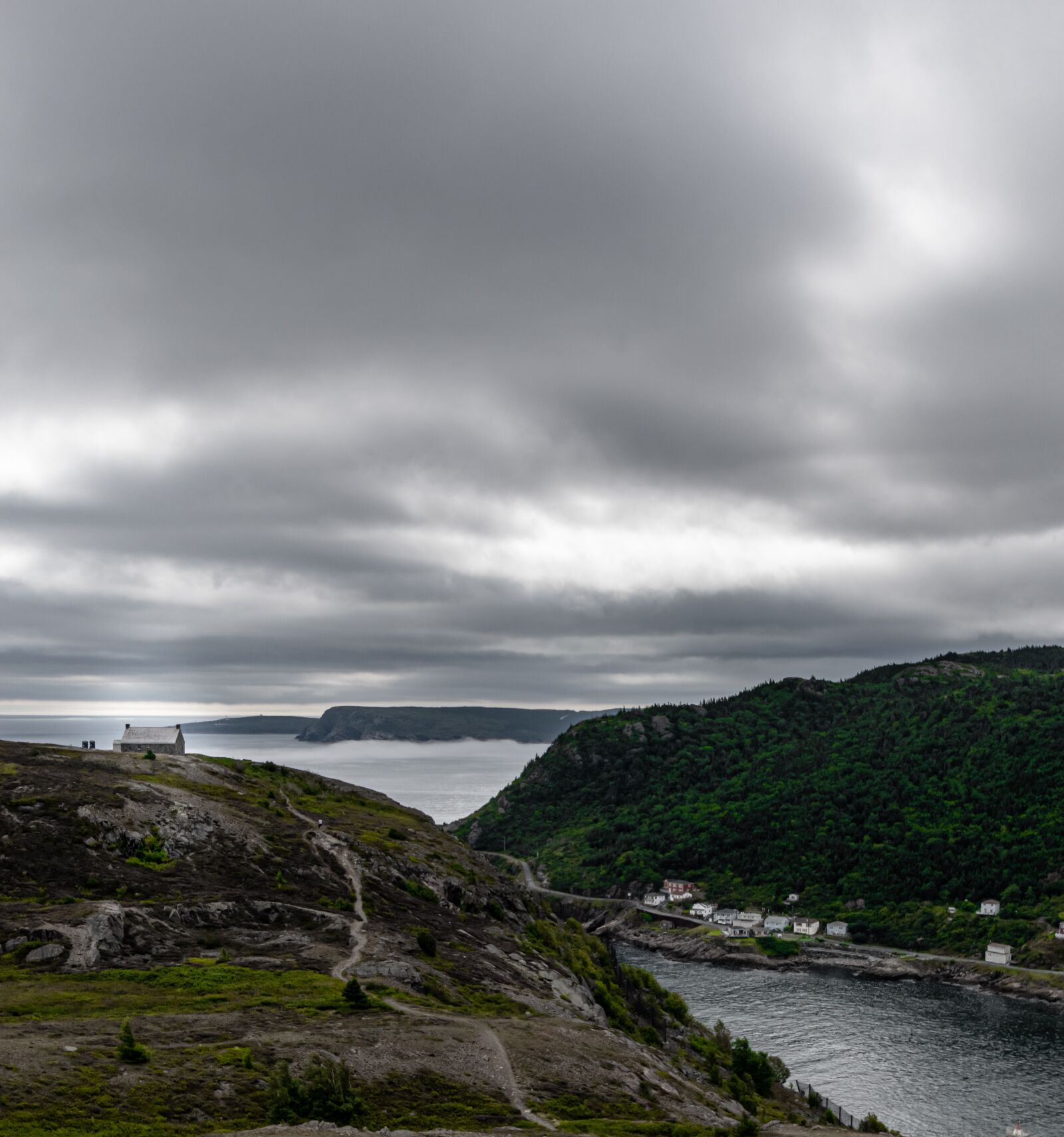 Nikon D5600 sample photo. St johns, newfoundland, canada photography