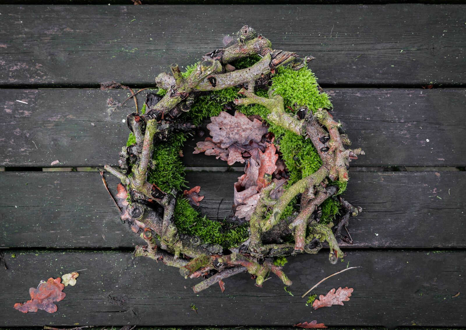 Nikon D610 sample photo. Flora, leaf, desktop photography