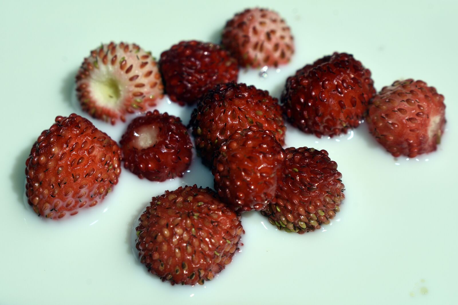 Nikon D3400 sample photo. Strawberries, fragaria vesca, nature photography