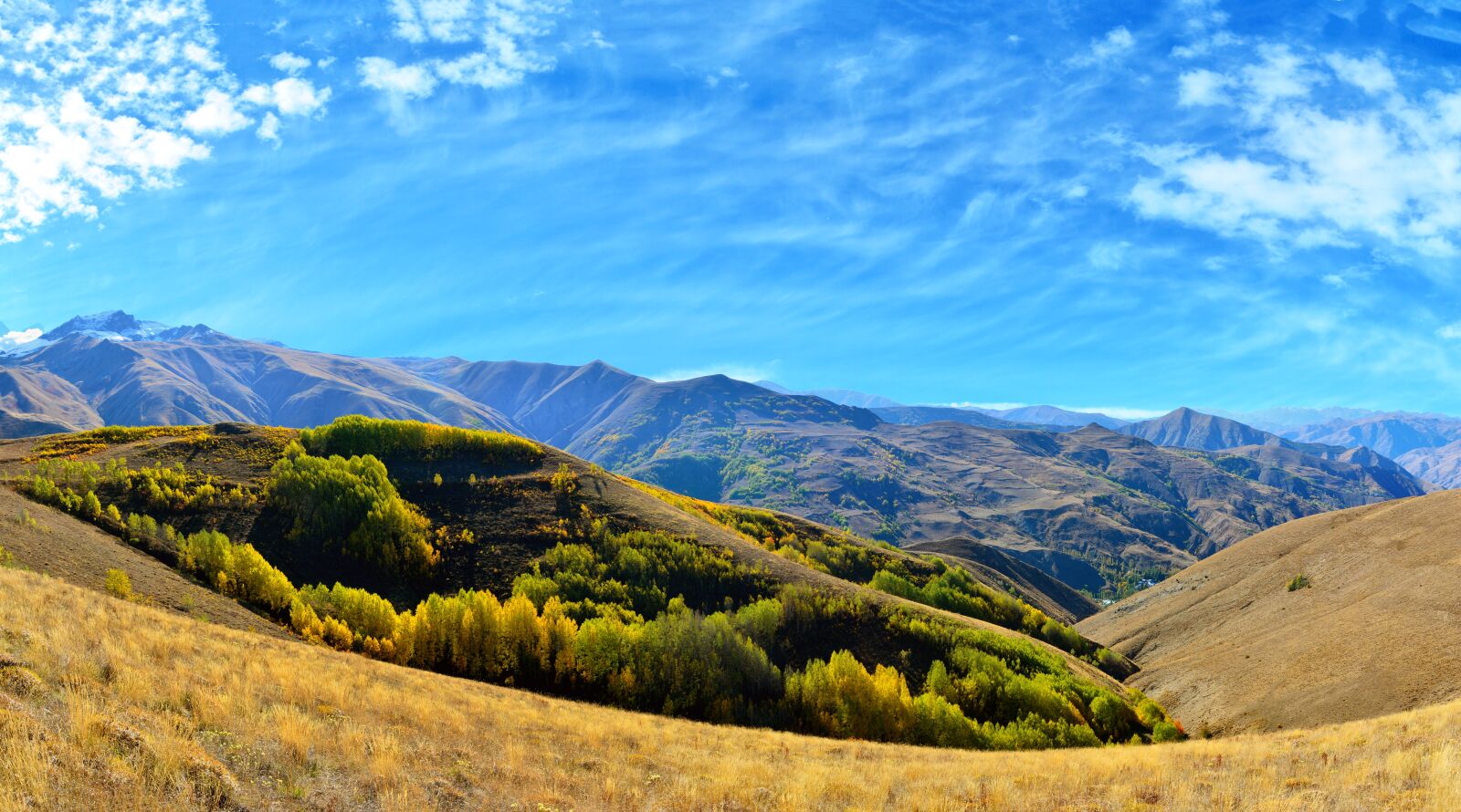 Nikon D7100 sample photo. Autumn, season, nature photography