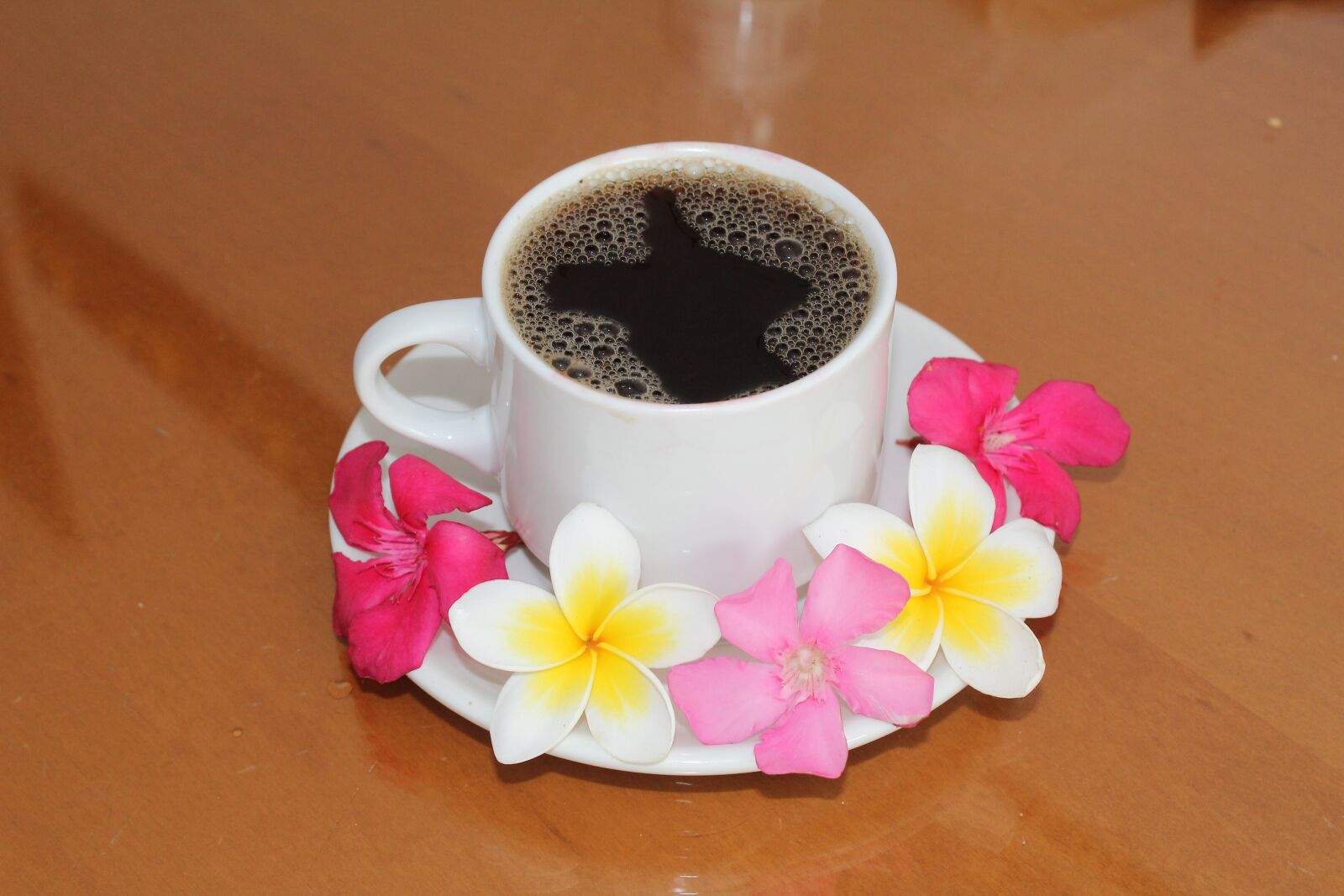 Canon EOS 600D (Rebel EOS T3i / EOS Kiss X5) sample photo. Coffee, cup, drink photography