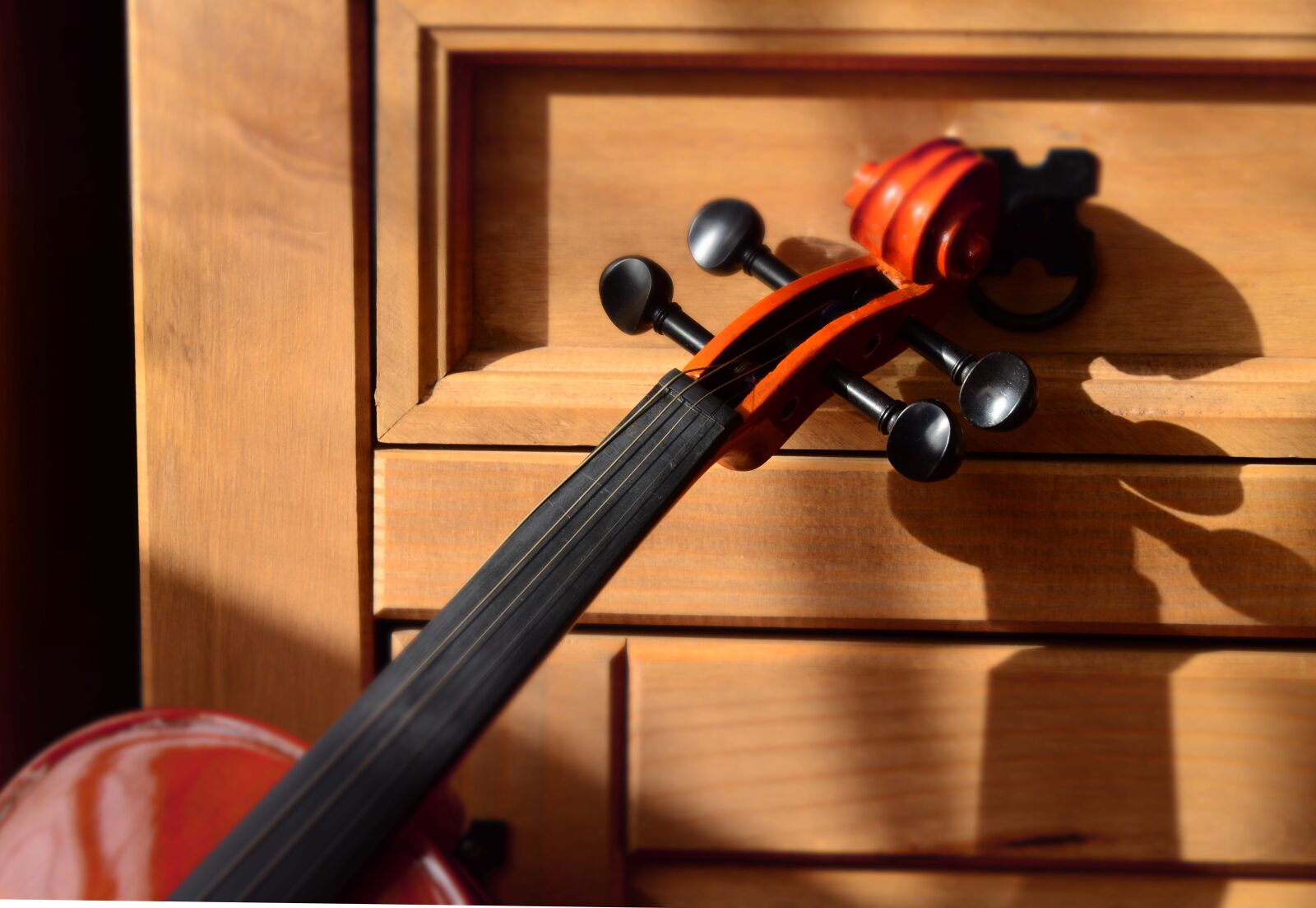 Nikon D5100 sample photo. Violin, music, art photography