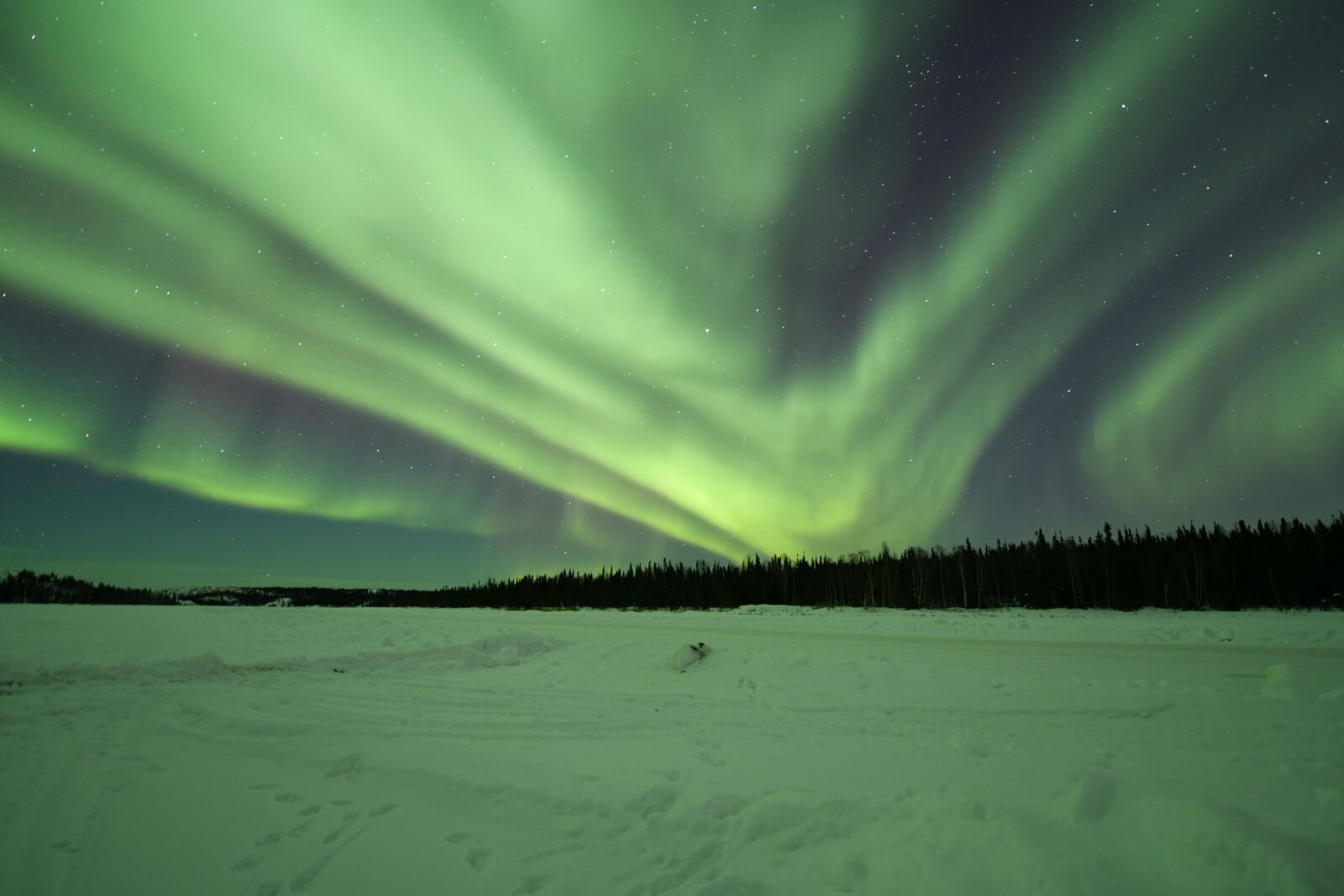 Nikon D850 sample photo. Northern lights, aurora borealis photography