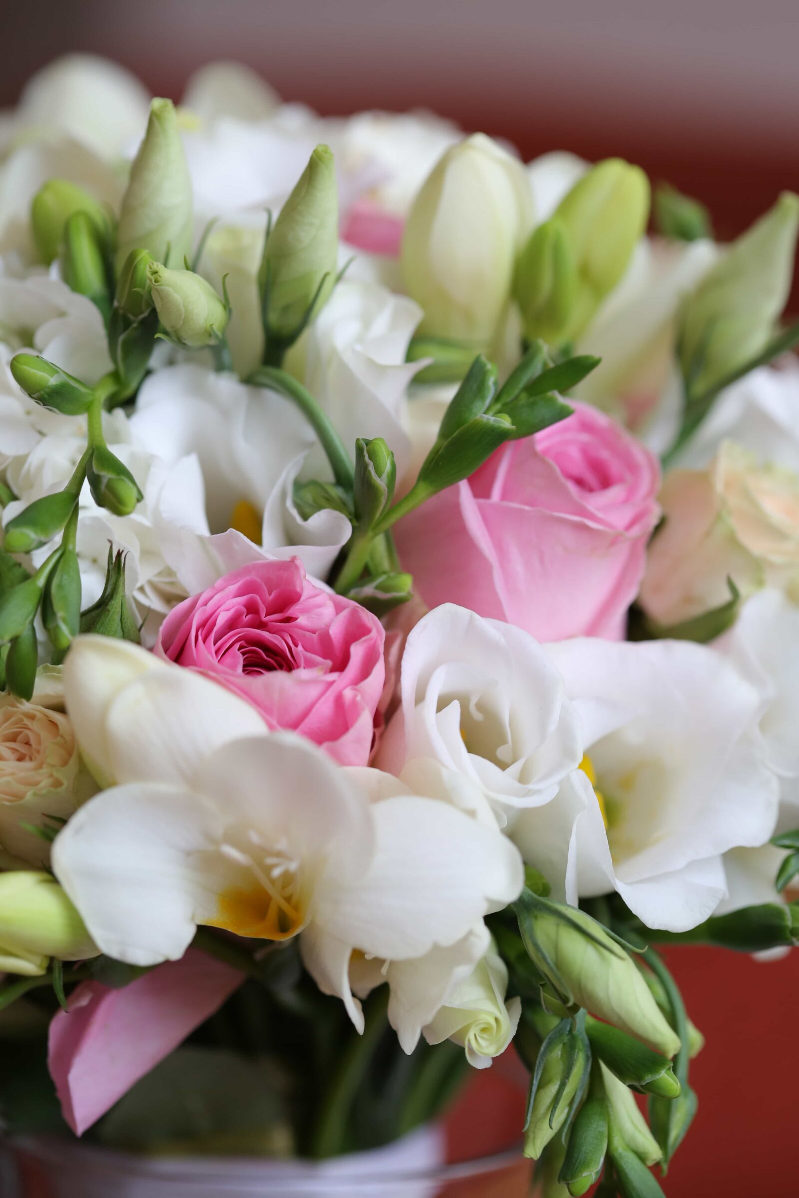Canon EF 100mm F2.8 Macro USM sample photo. Bouquet, pastel, roses, white photography