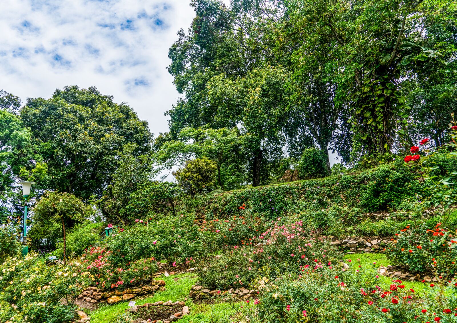Sony a7R II + Sony FE 24-240mm F3.5-6.3 OSS sample photo. Garden, beautiful landscape, hill photography