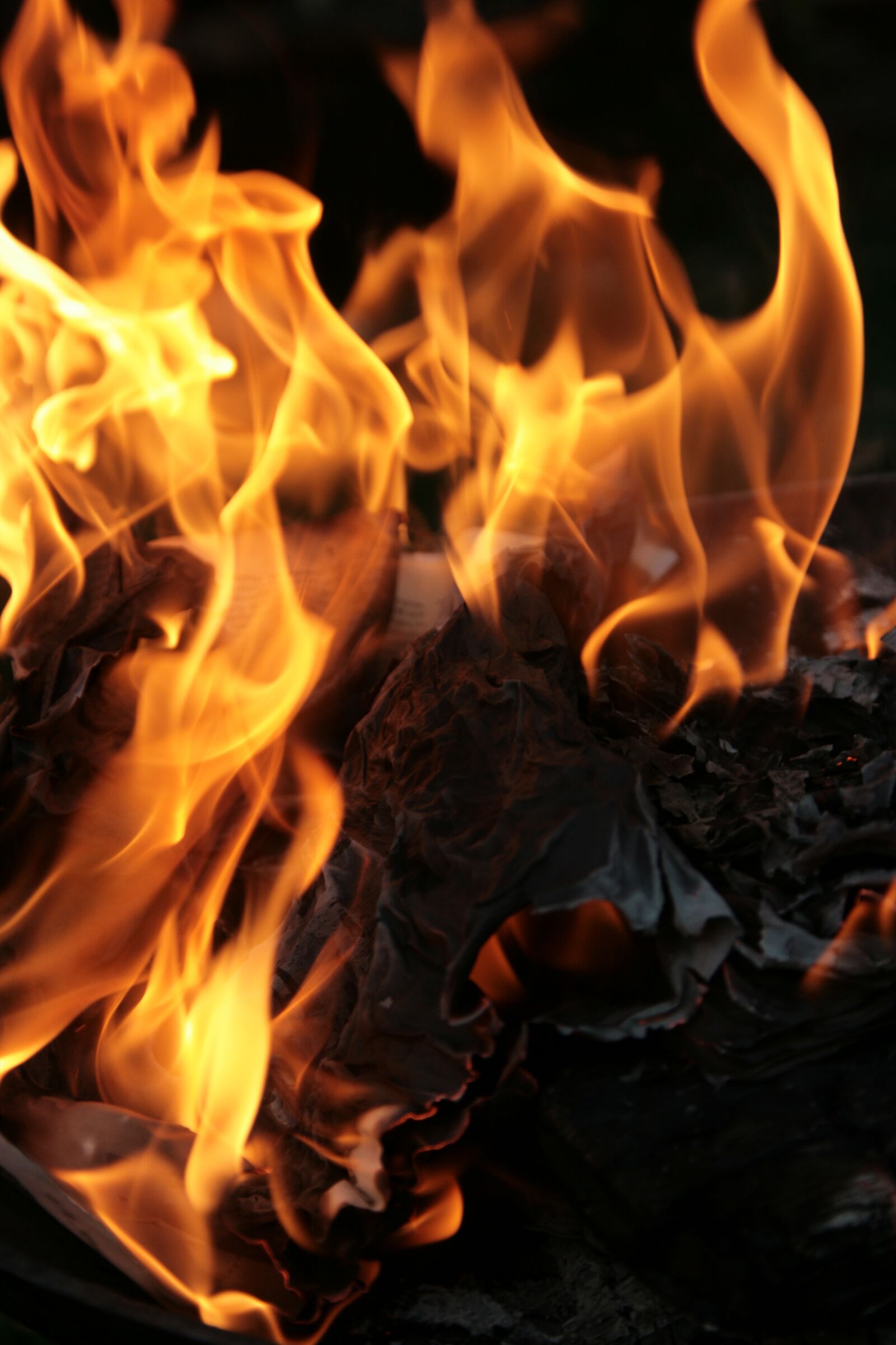 Canon EOS 400D (EOS Digital Rebel XTi / EOS Kiss Digital X) sample photo. Fire, combustion, burn photography