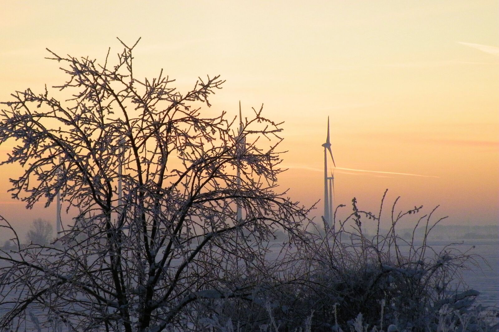 Fujifilm FinePix S8100fd sample photo. Sunrise, winter impressions, wintry photography