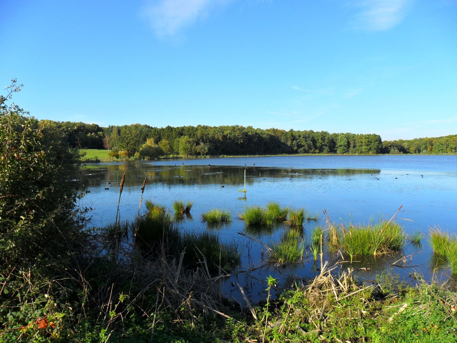 Samsung ES65, ES67 / VLUU ES65, ES67 /  SL50 sample photo. Rodder maar, brohltal, landscape photography