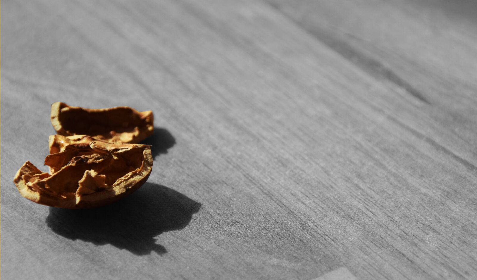 Nikon D3300 sample photo. Nut, autumn, shell photography