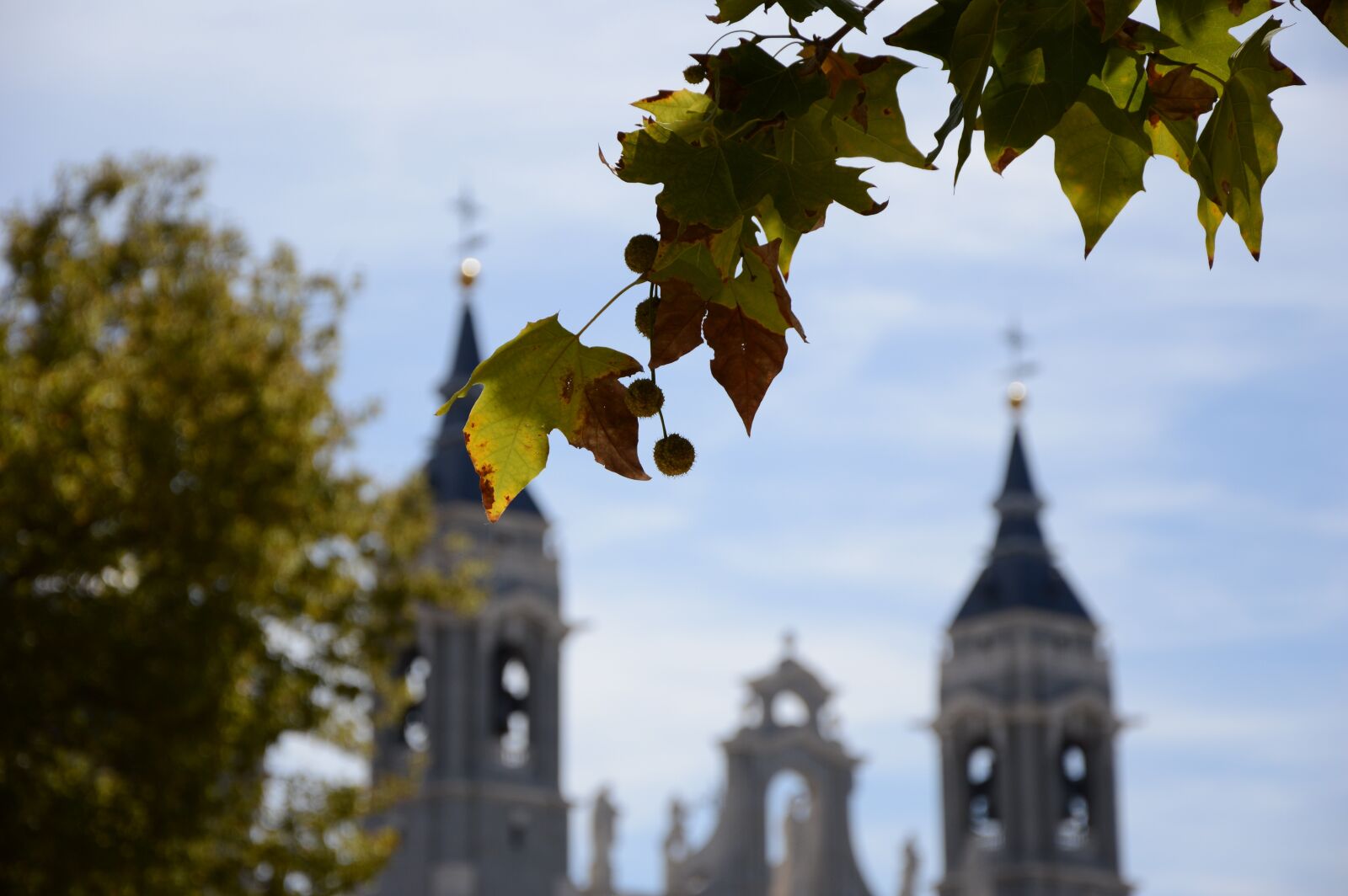 Nikon D3200 sample photo. Cathedral, monument, spain photography