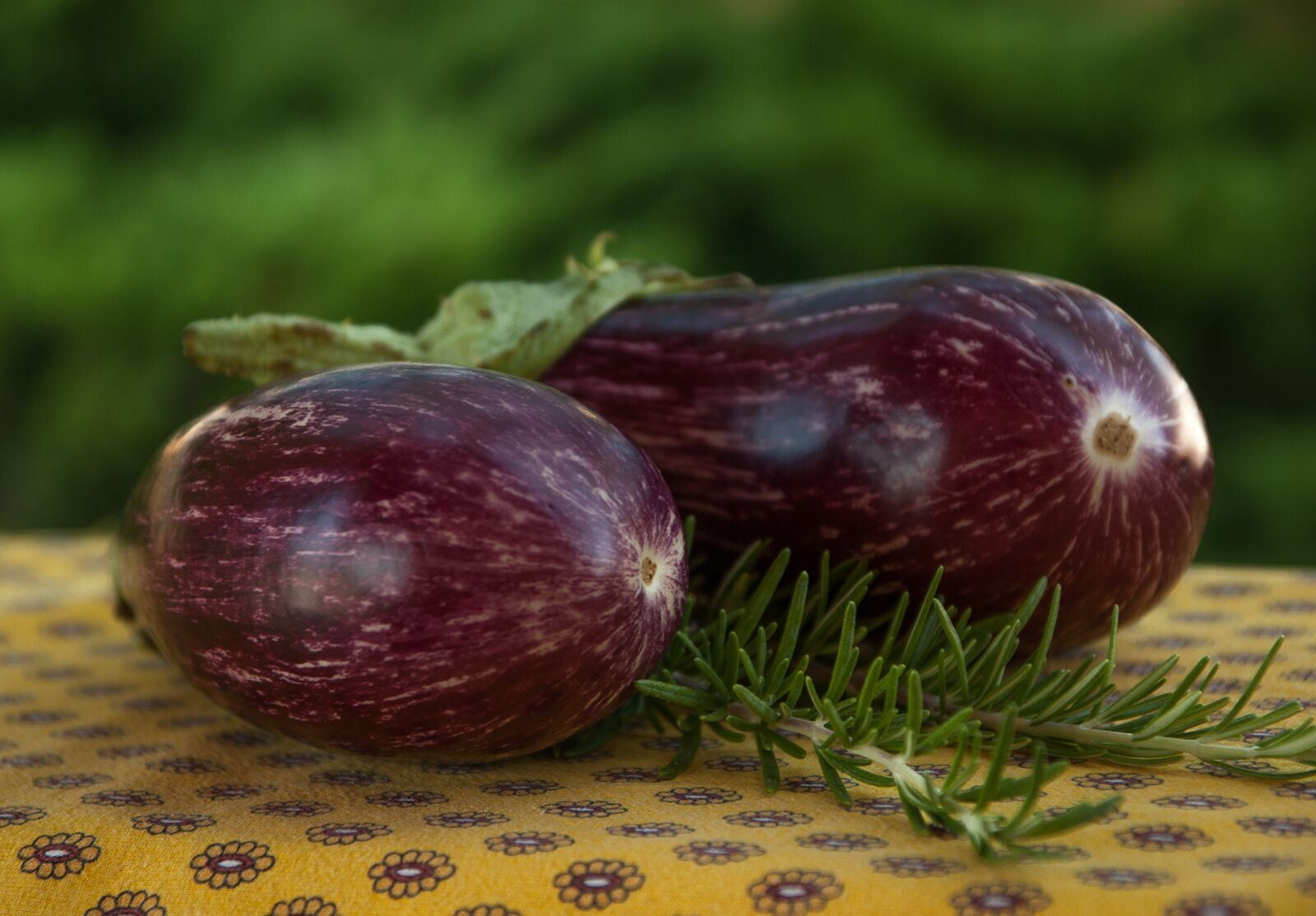 Pentax K10D sample photo. Eggplant, rosemary, vegetable photography