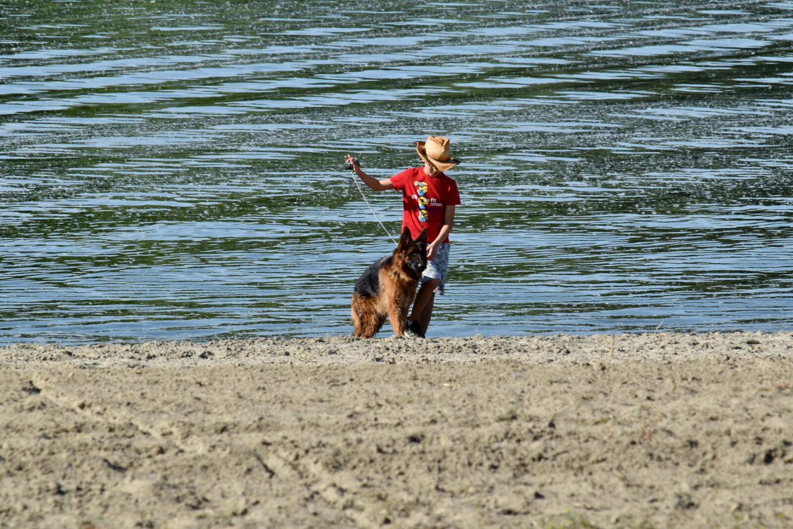 Nikon D5500 sample photo. Beach, boy, collar, dog photography